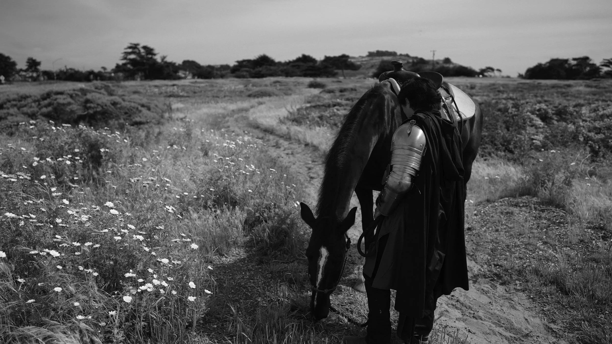 A person with armor and a cape holding a horse's bridle in a grassy field with flowers, under a cloudy sky.