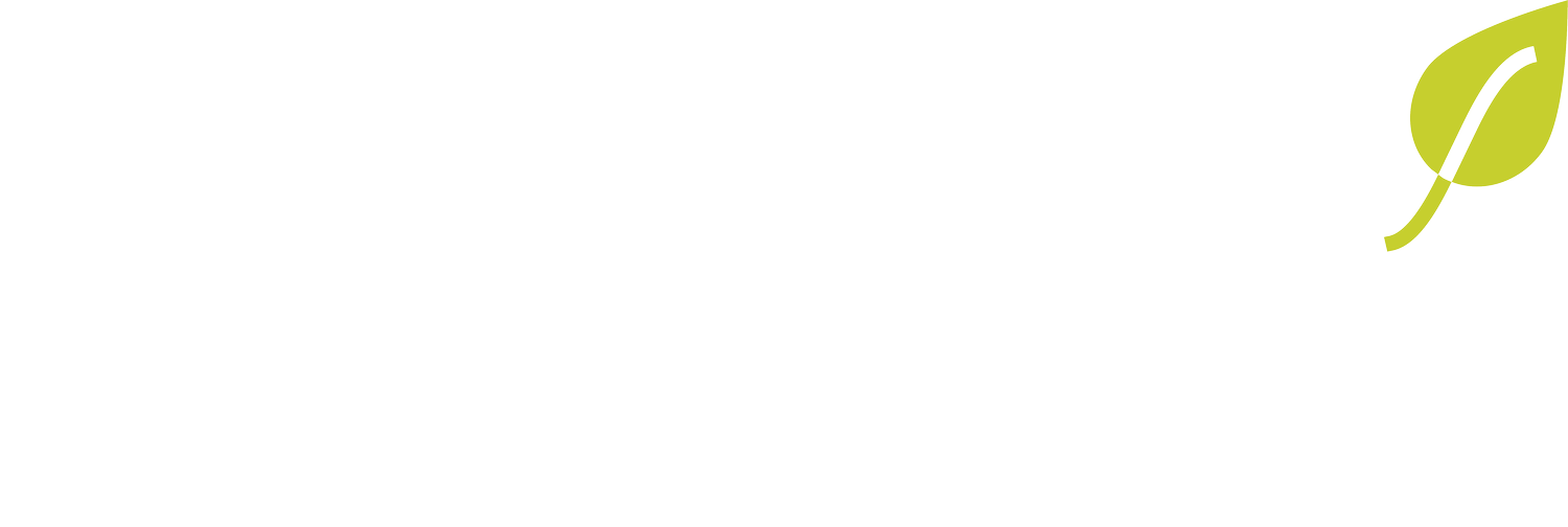 PAVIDA'S Wellness