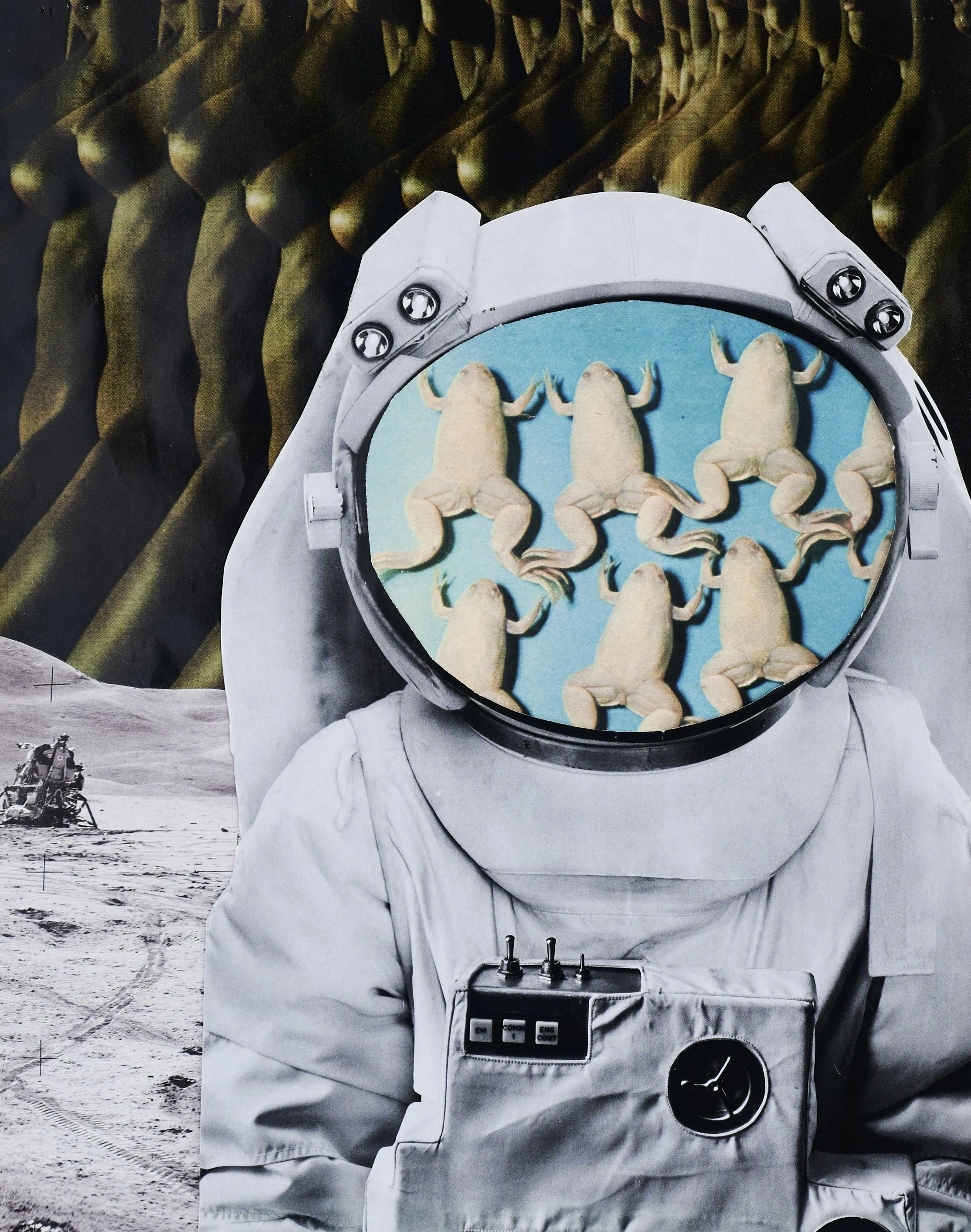 The Learn'd Astronomer | 15x11