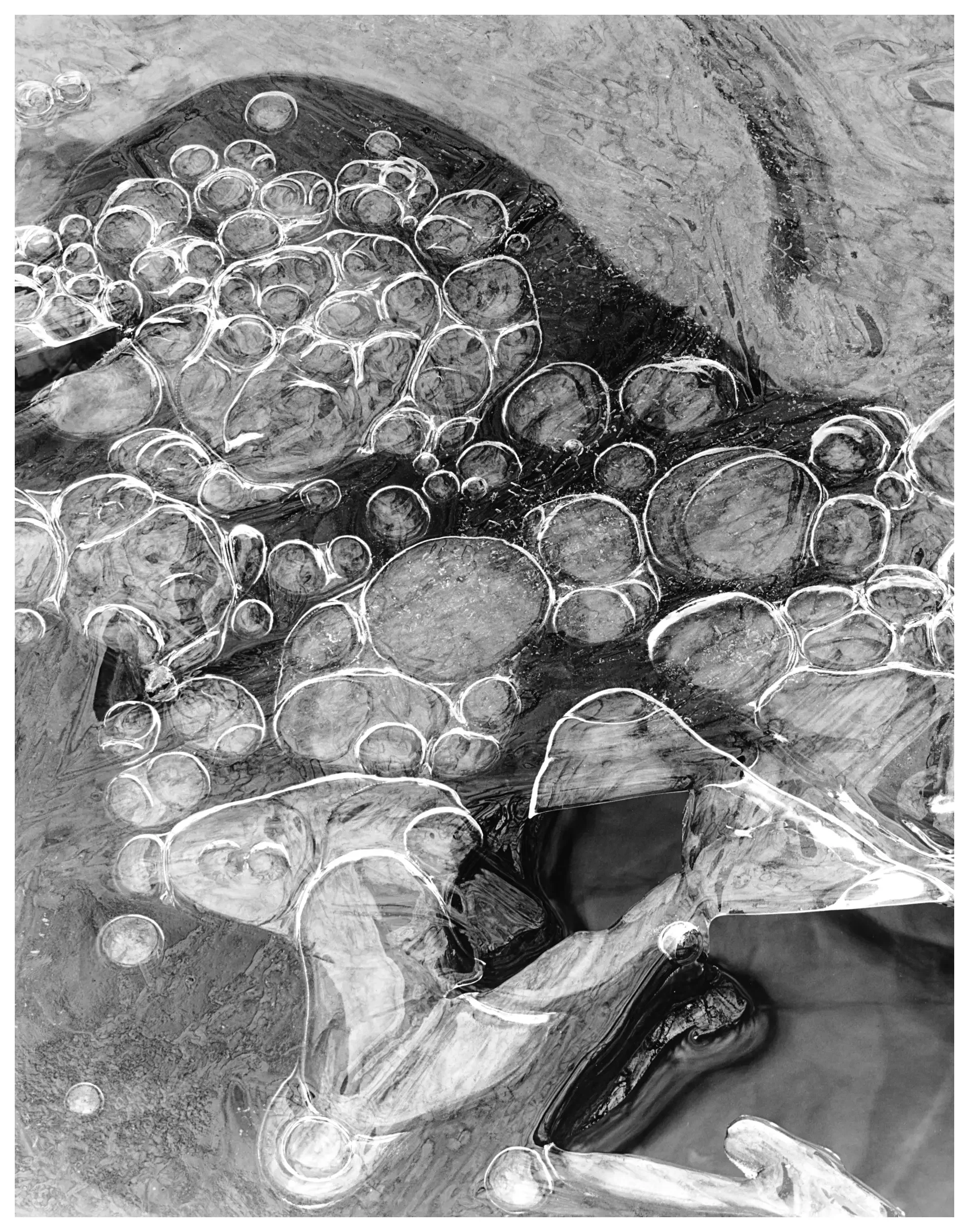 Ice Abstract Gallery