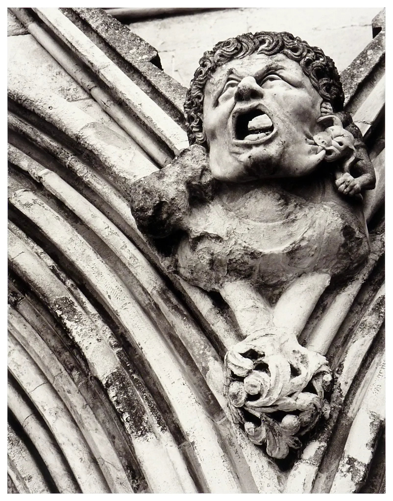 Right Face (Warmtone Print)