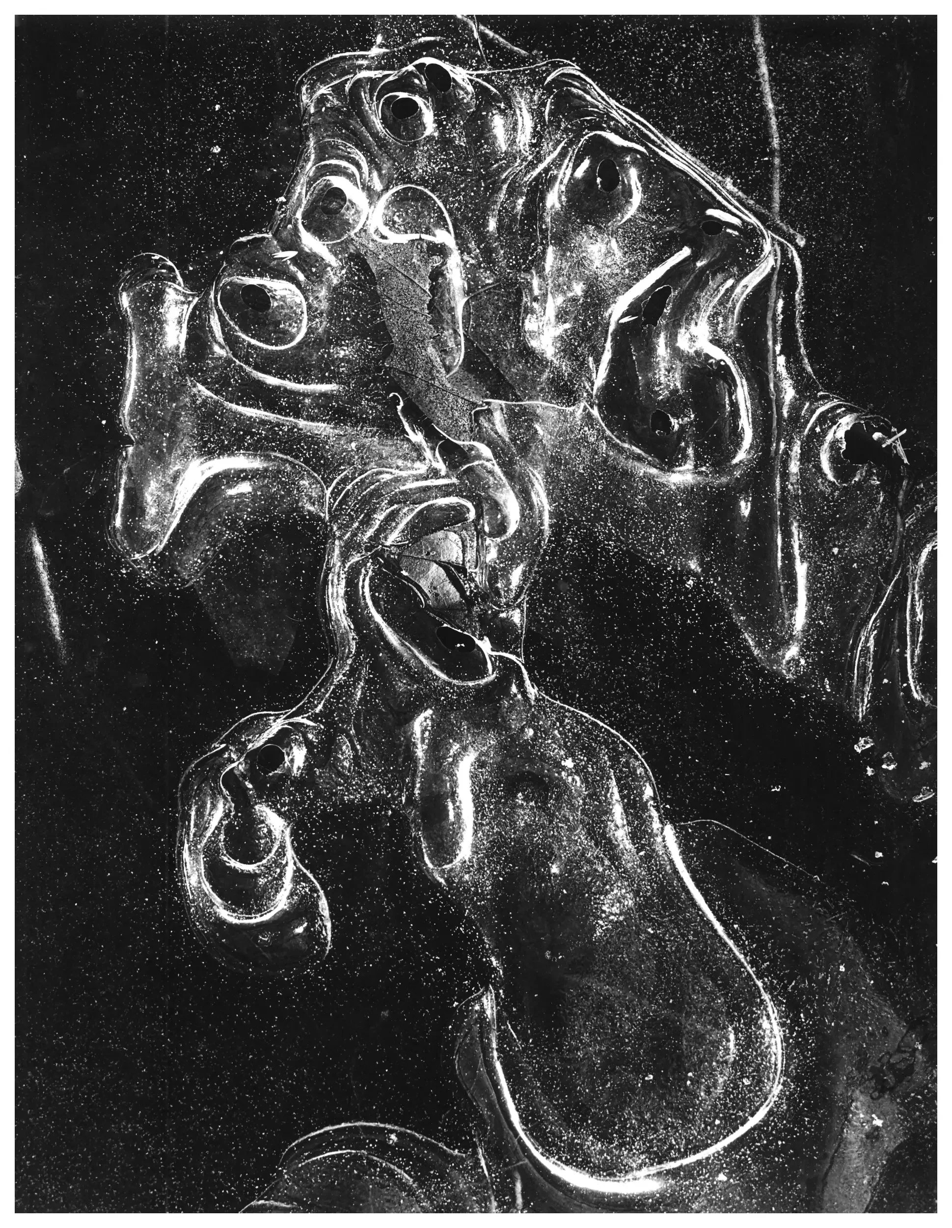 Ice Abstract #2