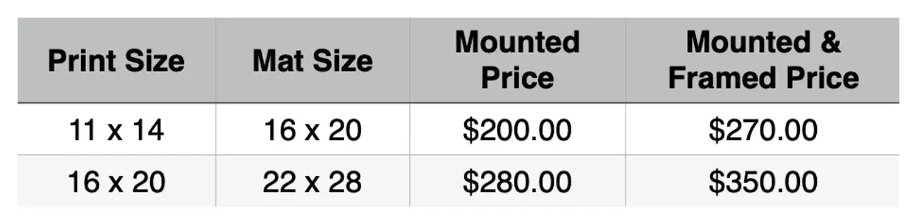 Pricing and specifications chart for printed and framed artwork, showing print sizes, mat sizes, and prices for mounted and framed options.