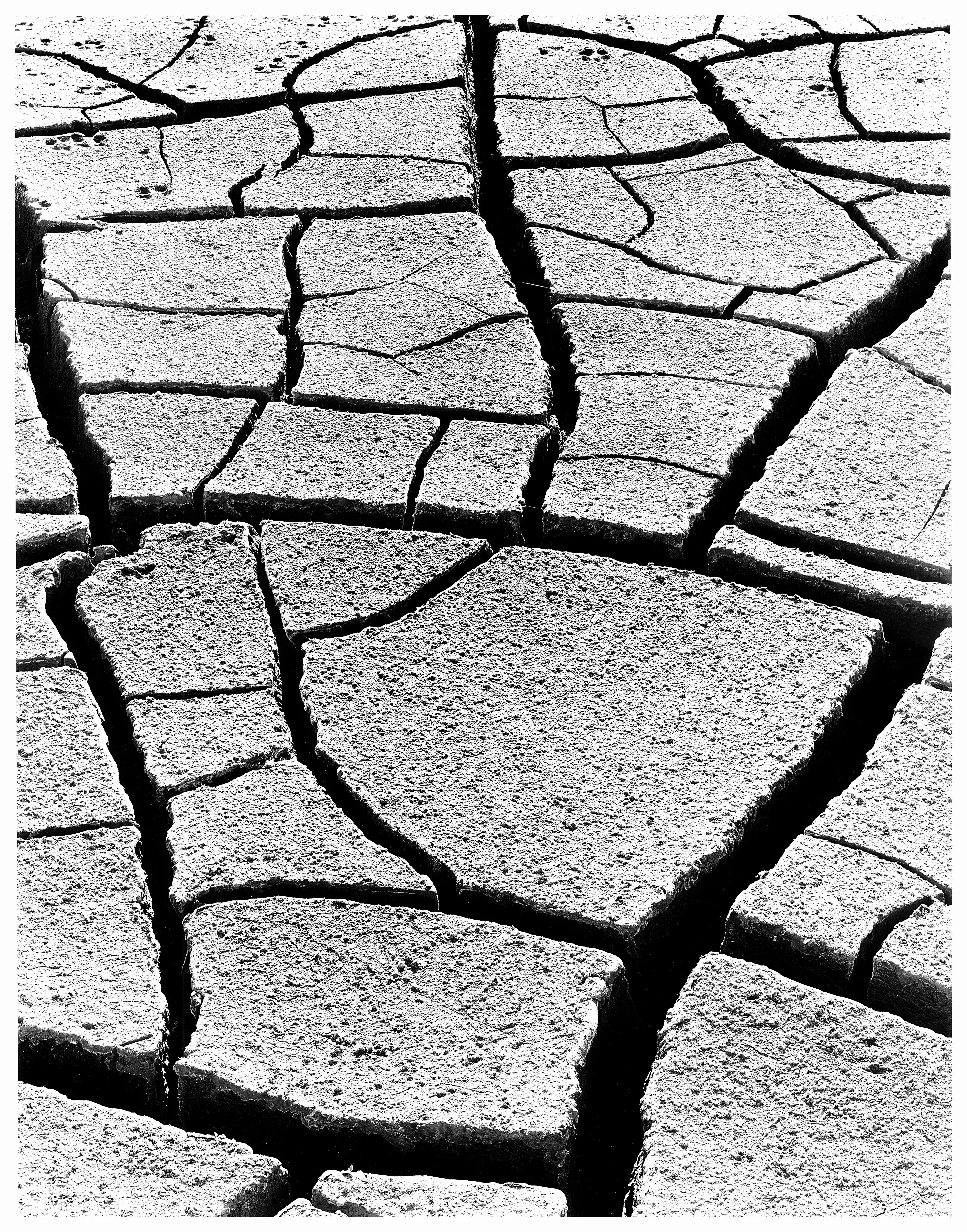 Dried Wash, AZ