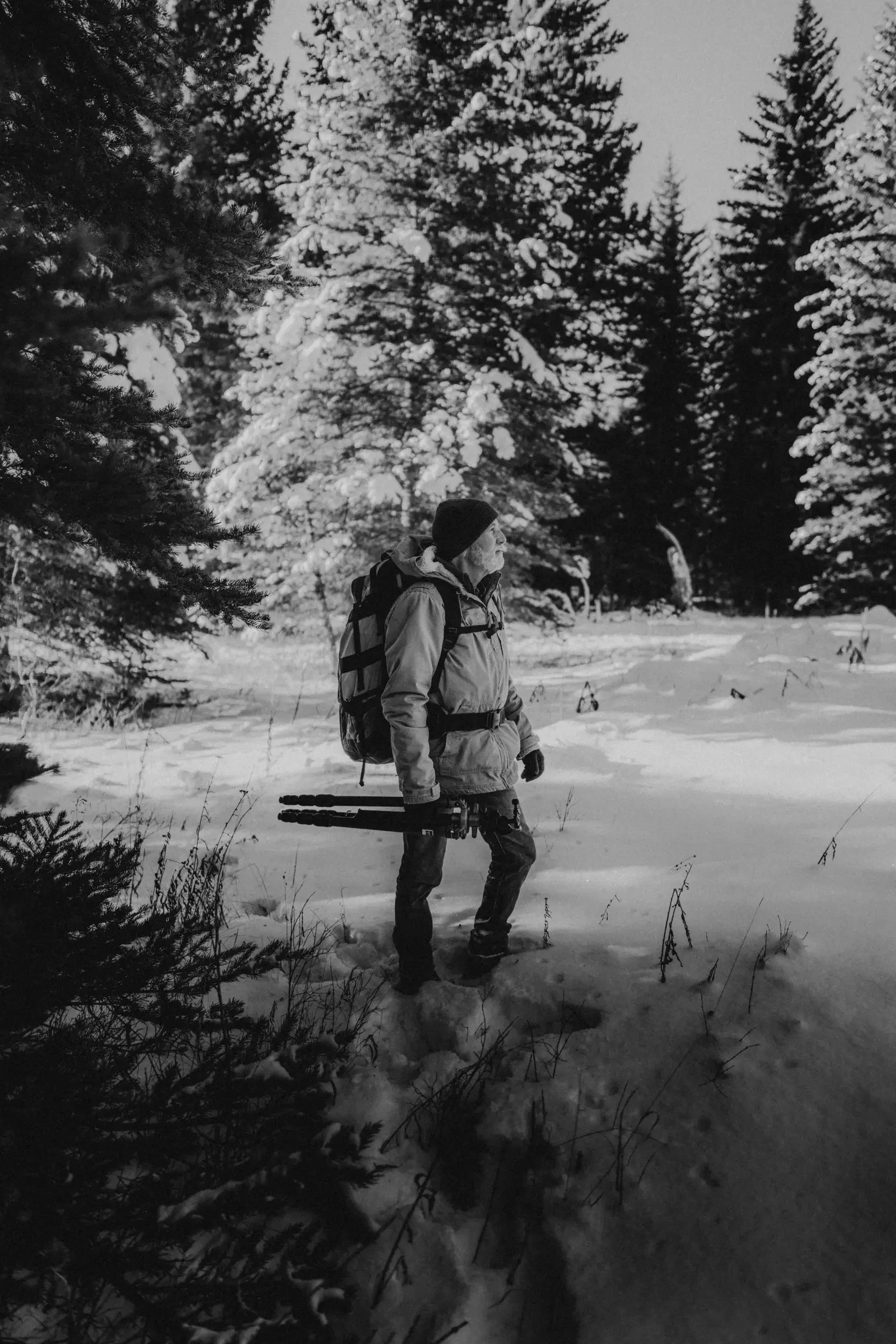 A man dressed in winter clothing and a backpack stands in a snowy forest, holding skis, surrounded by snow-covered trees in the background.