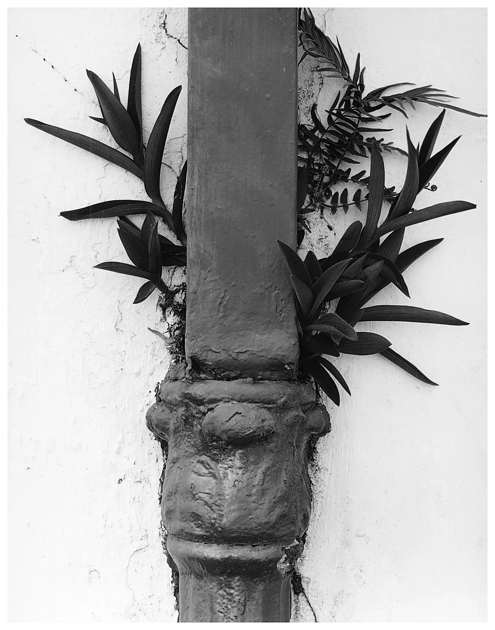 New Orleans Downspout