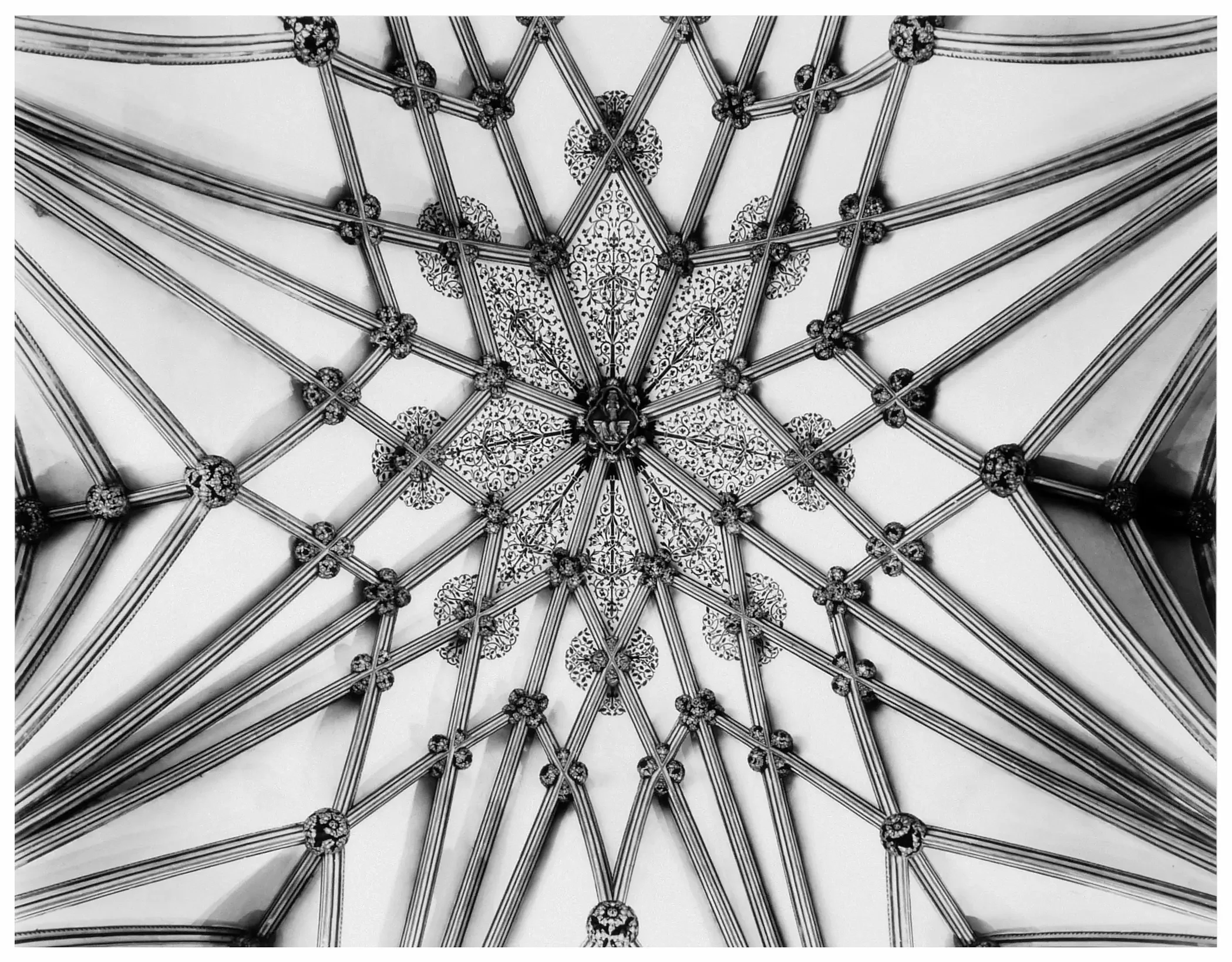 Alter Ceiling, Gloucester