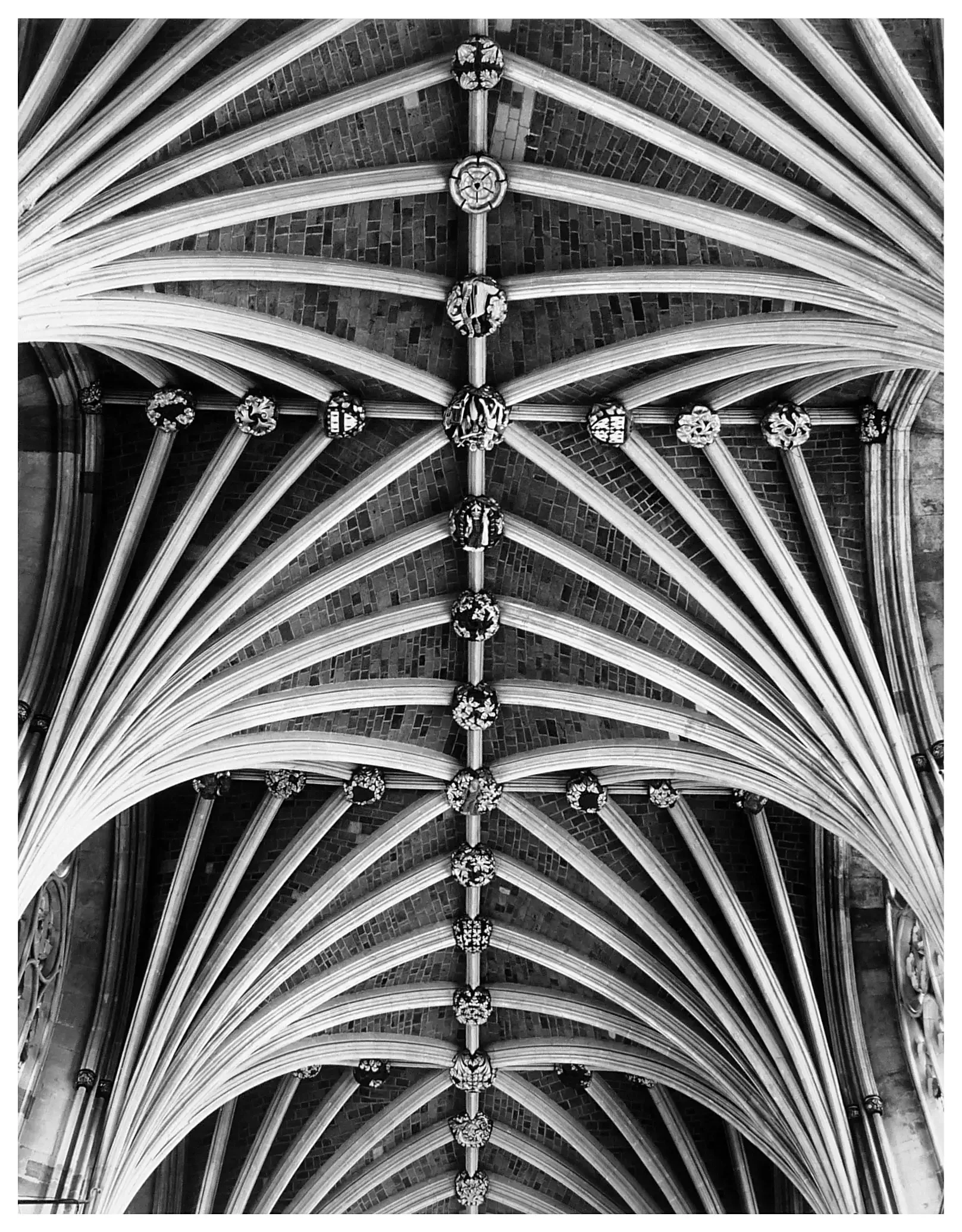 Nave Ceiling, Exeter