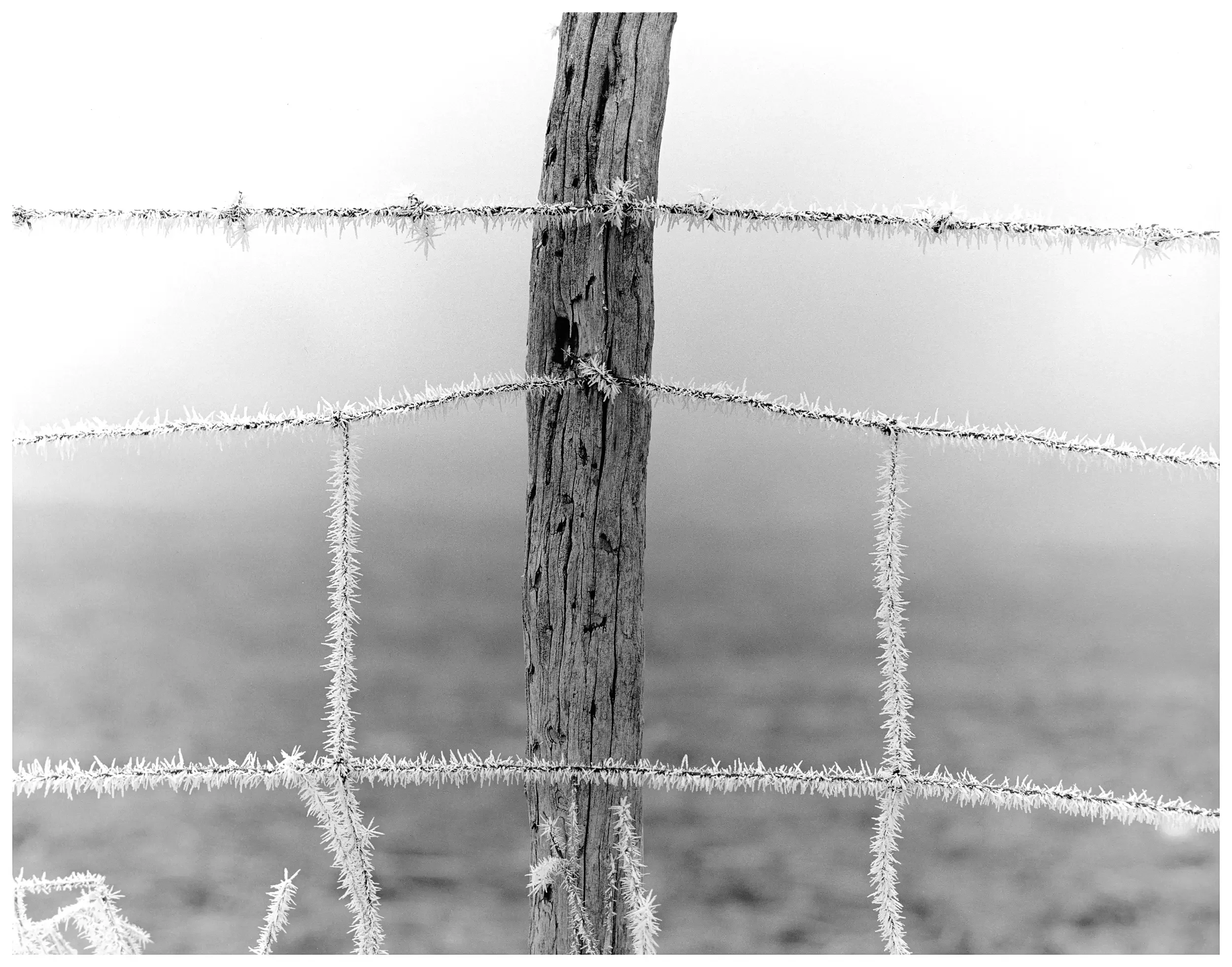 Fence Frost, IN