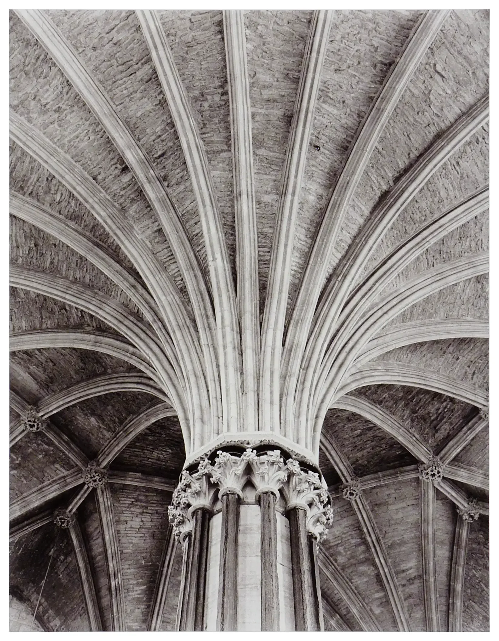 Chapter House Ceiling (Warmtone Print)