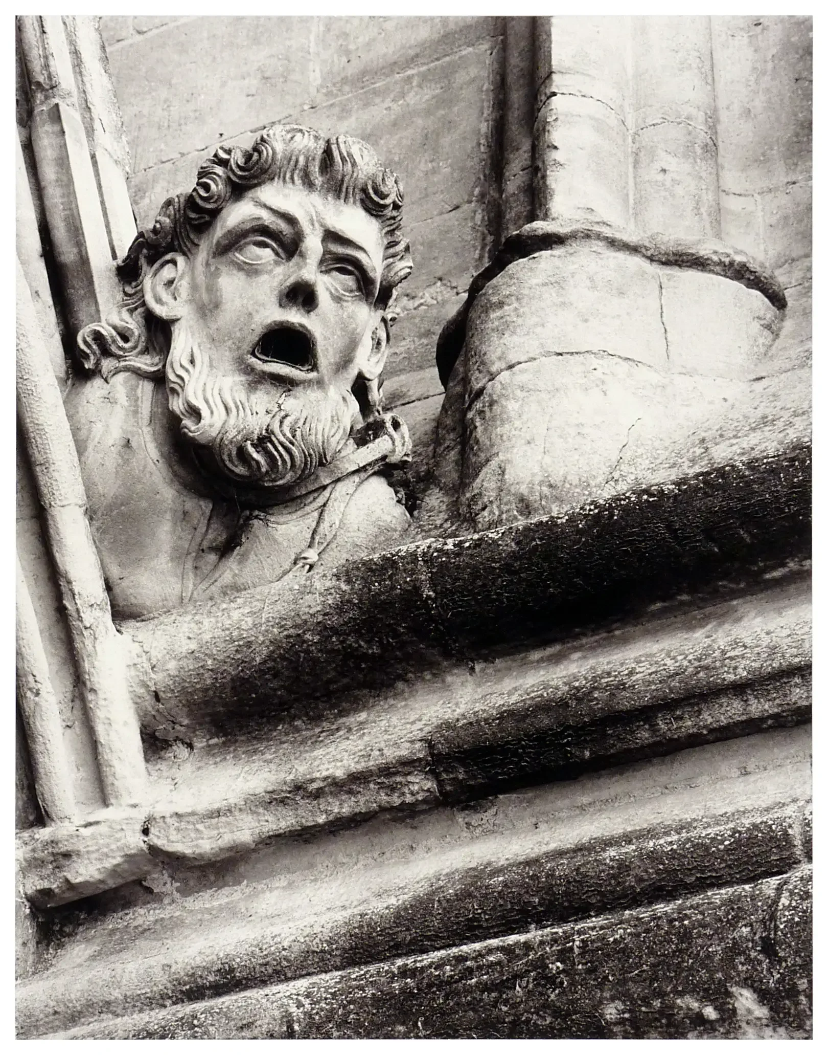 Left Face (Warmtone Print)