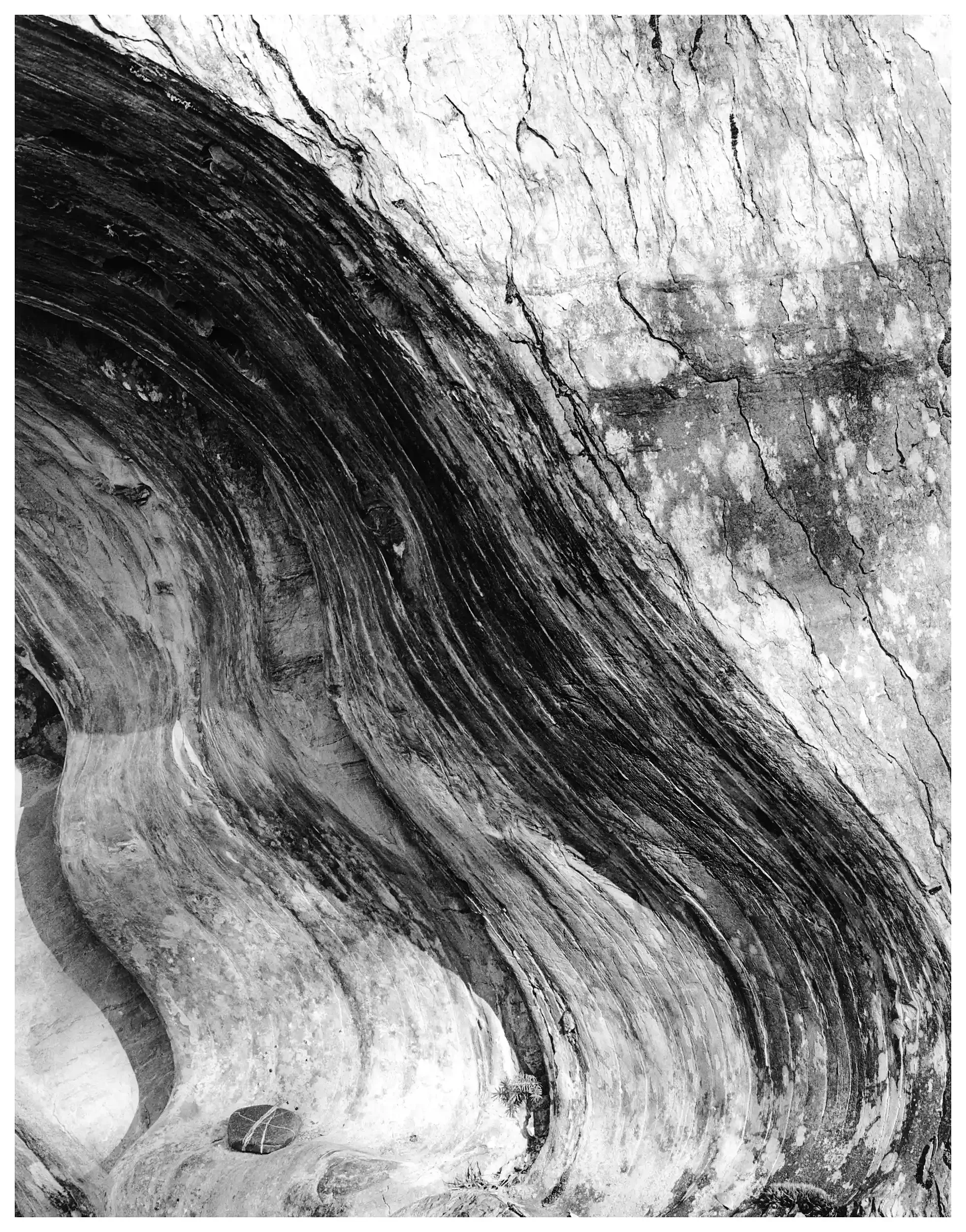 Rock Wave