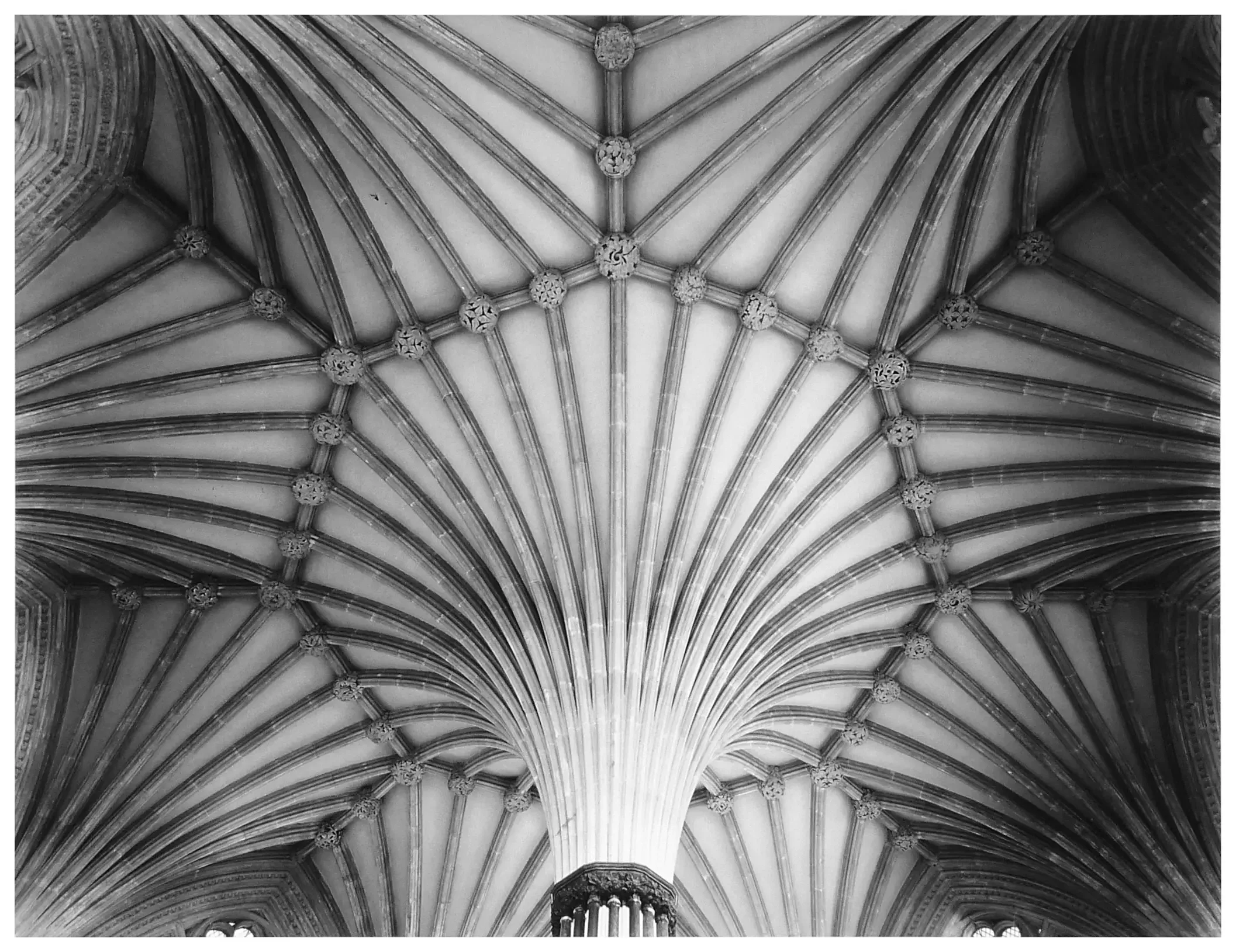 Chapter House Ceiling, Wells