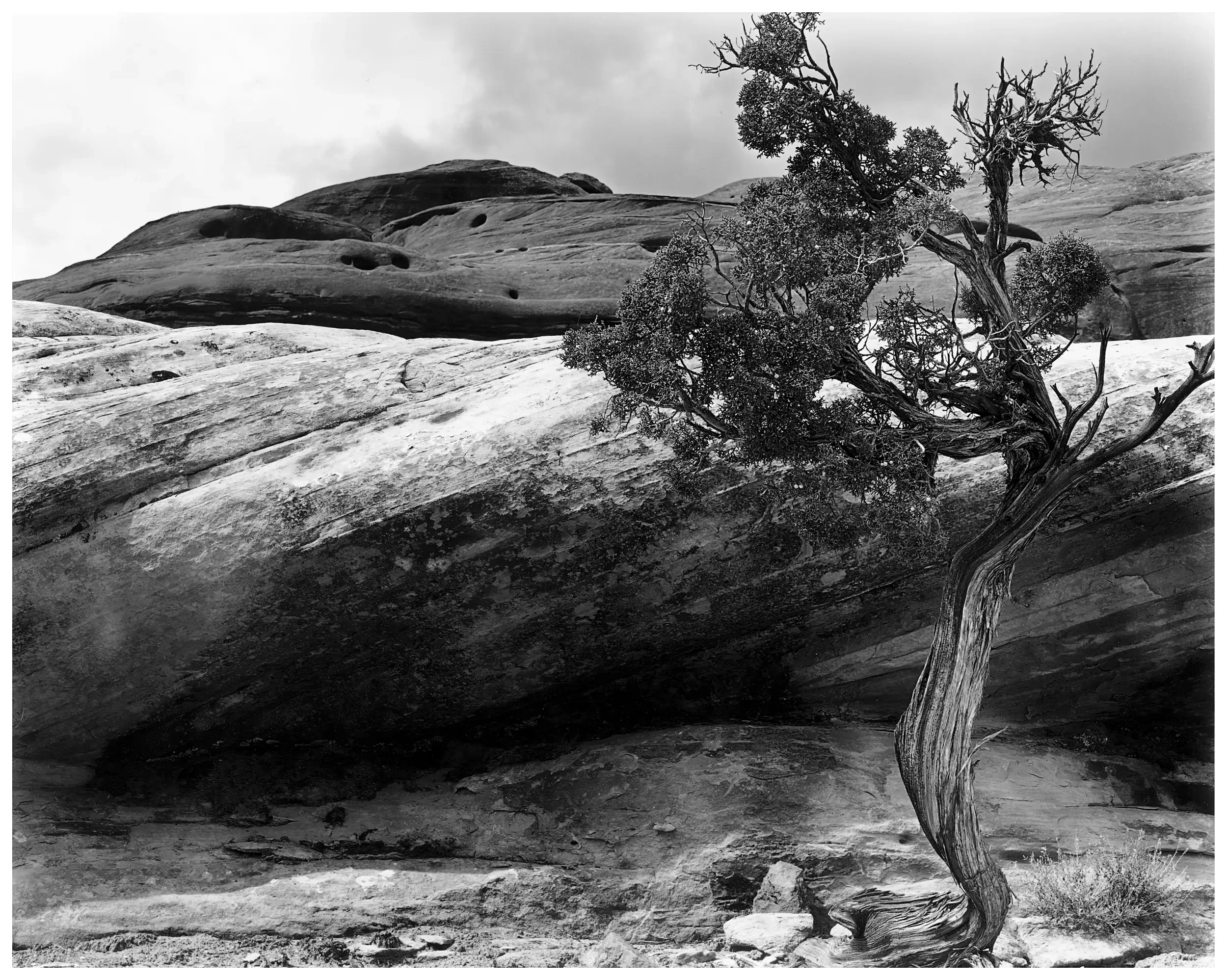 Bristlecone and Canyon, UT