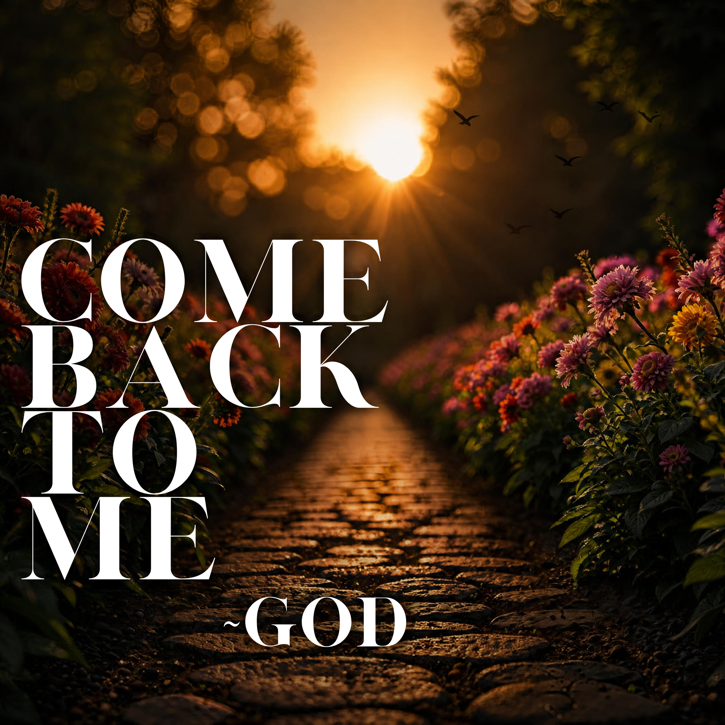 Come Back to Me