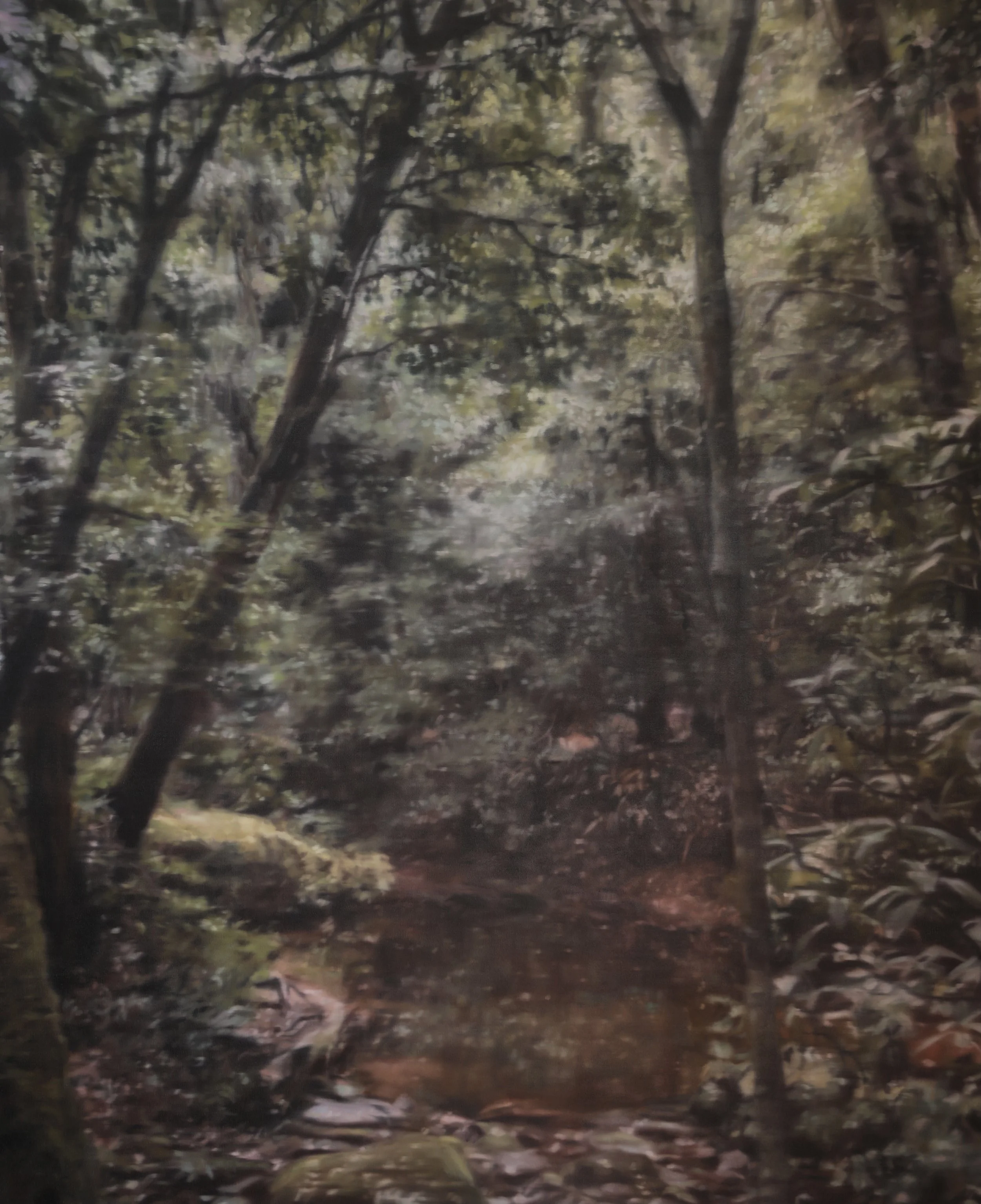 Amelia Carroll Art waterhole 1.jpg