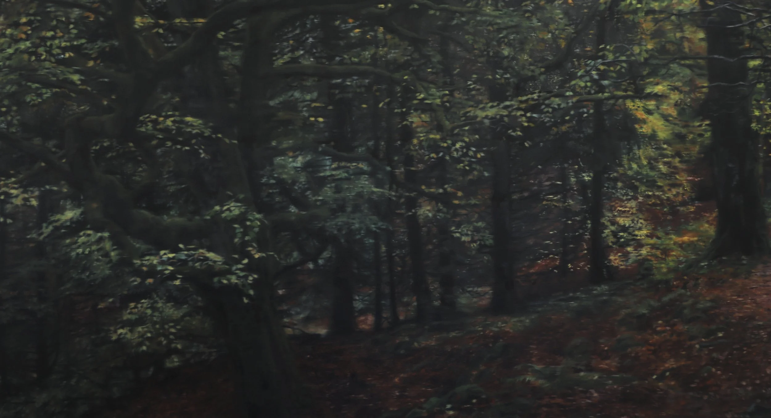 Amelia Carroll Art forest 2.jpg