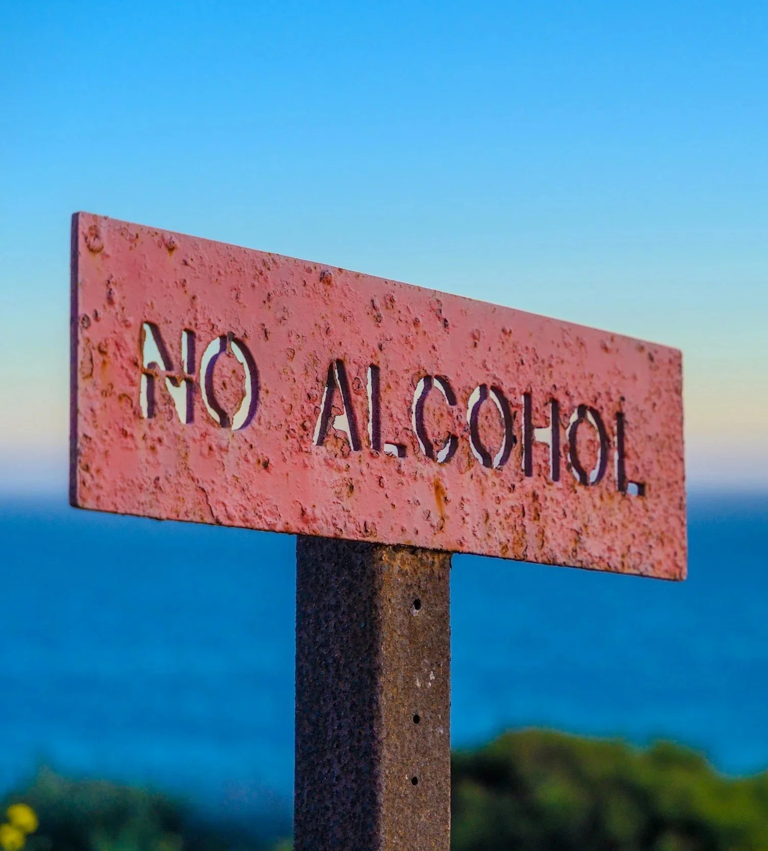 Pink metal sign with the word 'HOALCOHOL' cut out, mounted on a rusted metal post, with a blurred ocean or lake background and a clear sky.