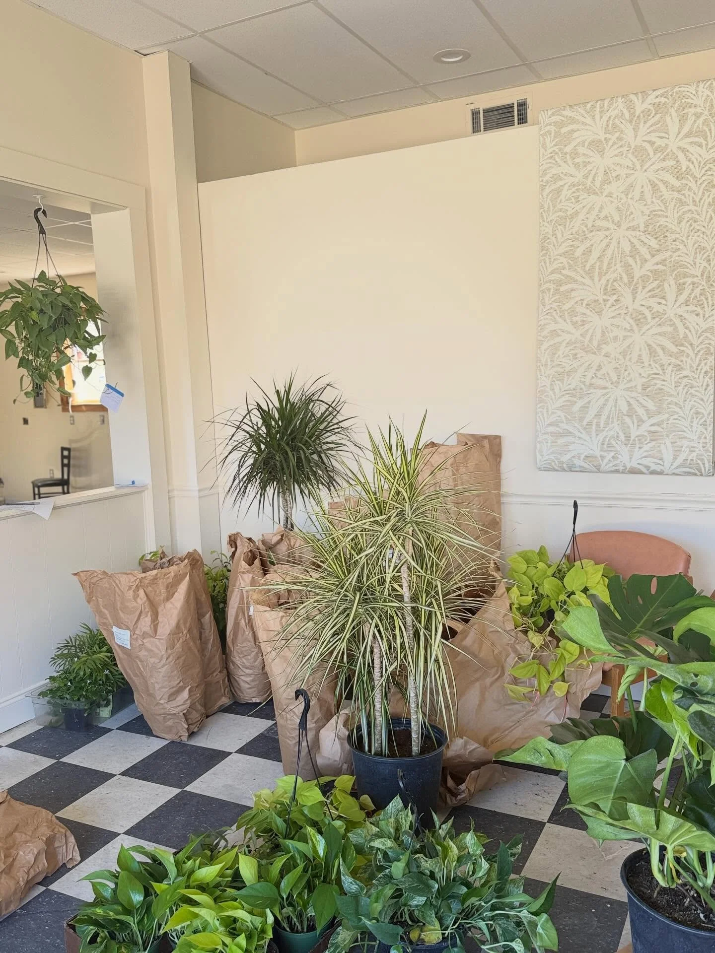 Weekly GoFund Me push! 

We are having the first of many inspections today, moving toward the bar buildout, and equipment purchasing - which means she&rsquo;s moving forward! If you&rsquo;re in a position to donate, it&rsquo;s greatly appreciated- an