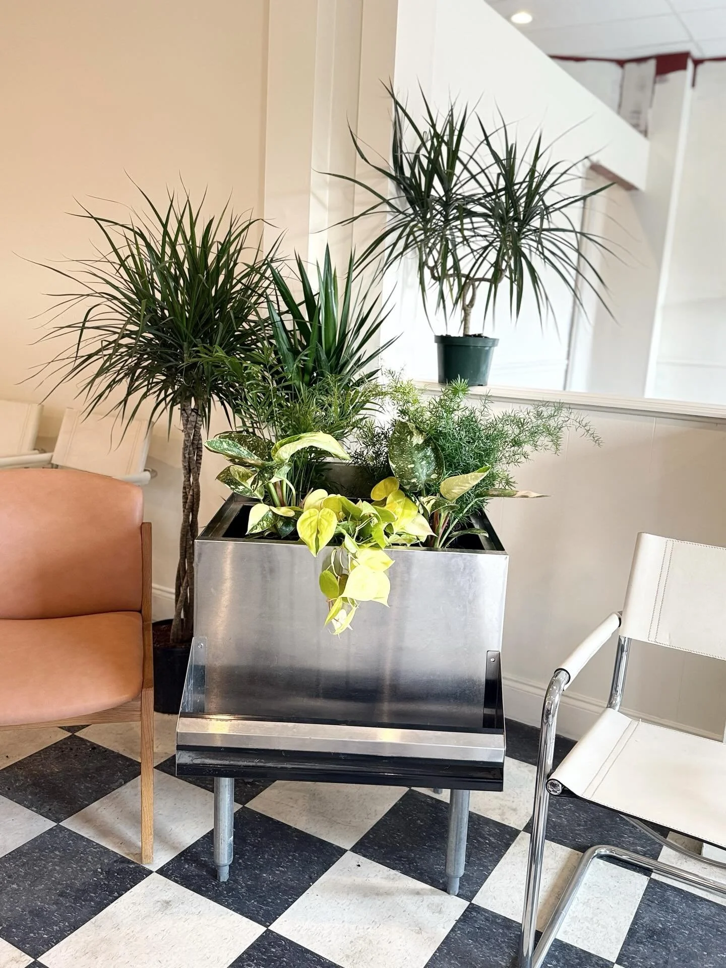 Part Plant Store // Part Gathering Space.

The Swan blends a houseplant store with a bar,  an event space, and  just a very cute place to go and read, have a drink, and be. The bar will focus on wine, beer, and spritzes with a large selection of low 