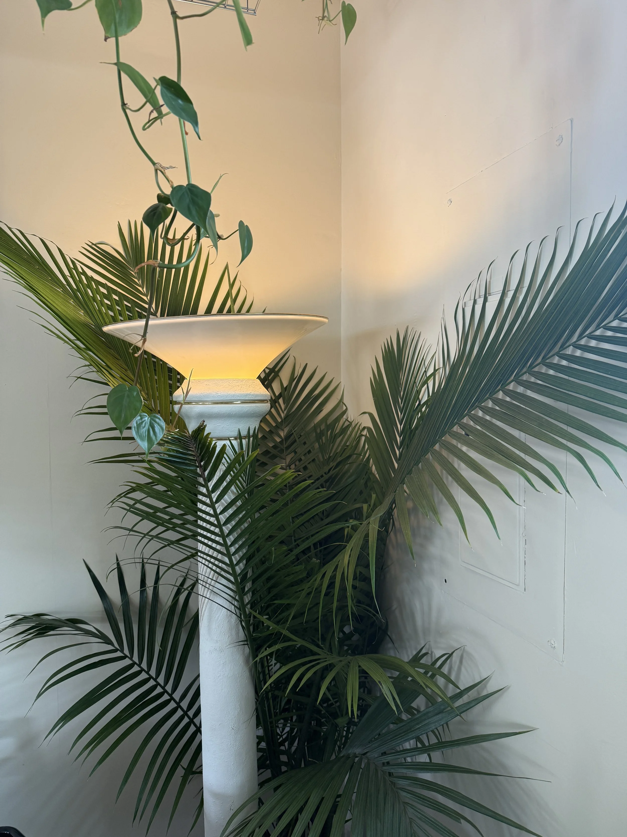 Indoor plant arrangement with a lamp and green leaves against a white wall.