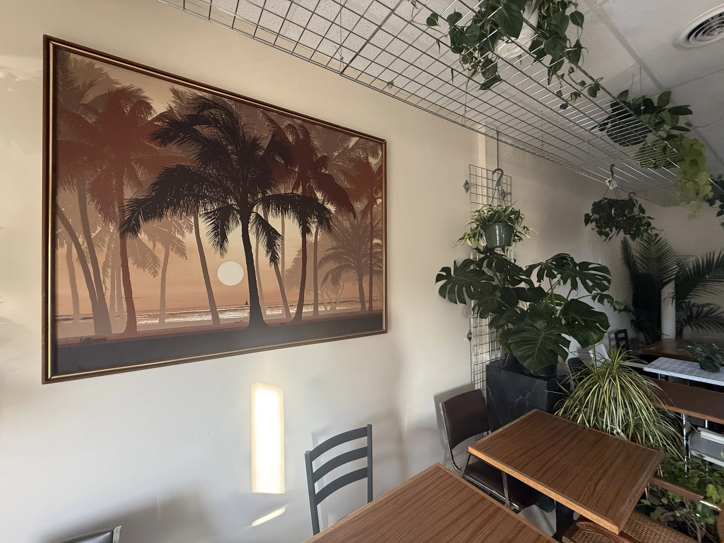 Interior of a room with a framed tropical sunset picture, a wire shelf with hanging plants, and several potted plants on tables and the floor.