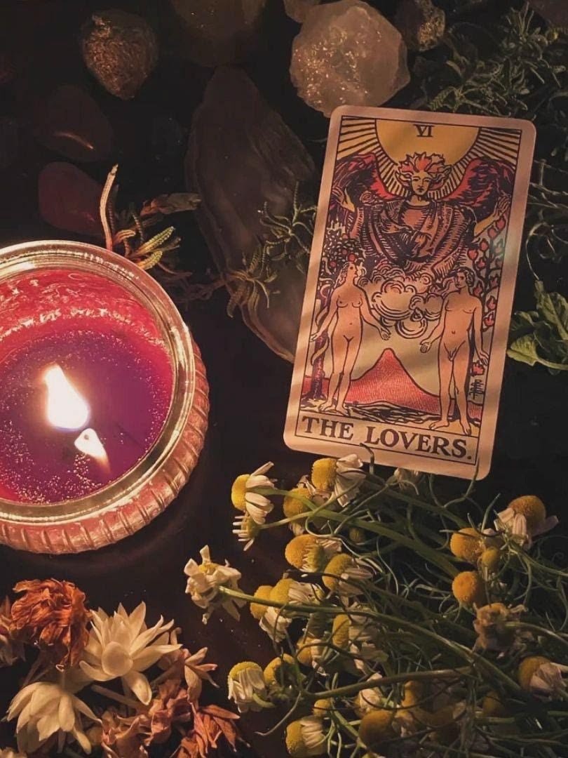 Love / Pregnancy / Timeline Reading