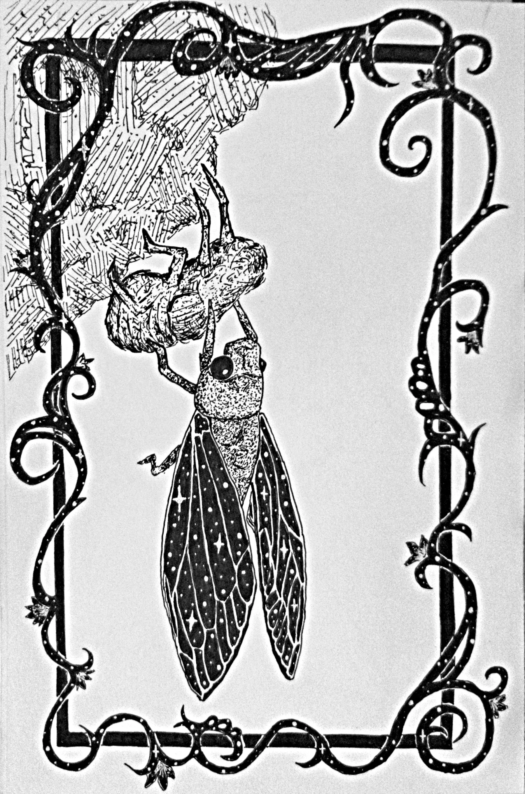 Scanned_20260413-1100 EDIT.jpg