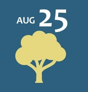 Tree Tour & Workshop with Ivan Sabesky