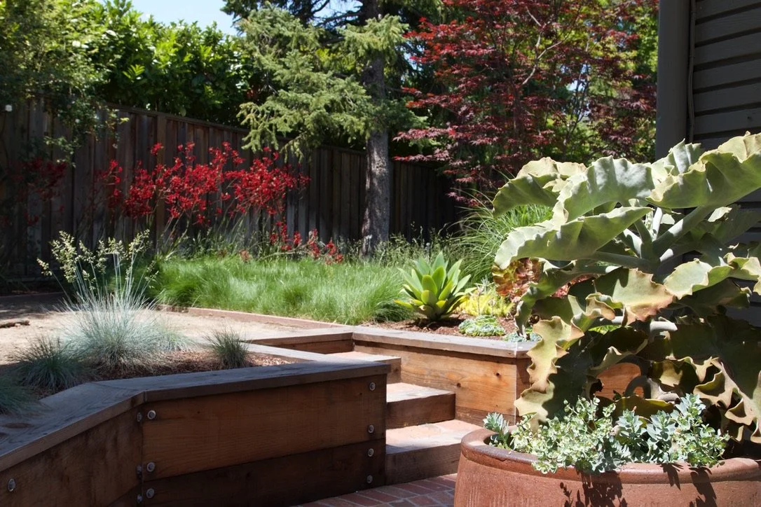 Midcentury Natural