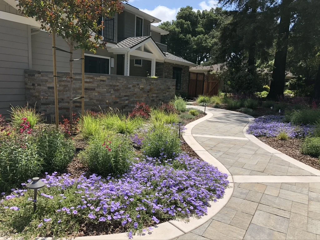 Foothill Contemporary