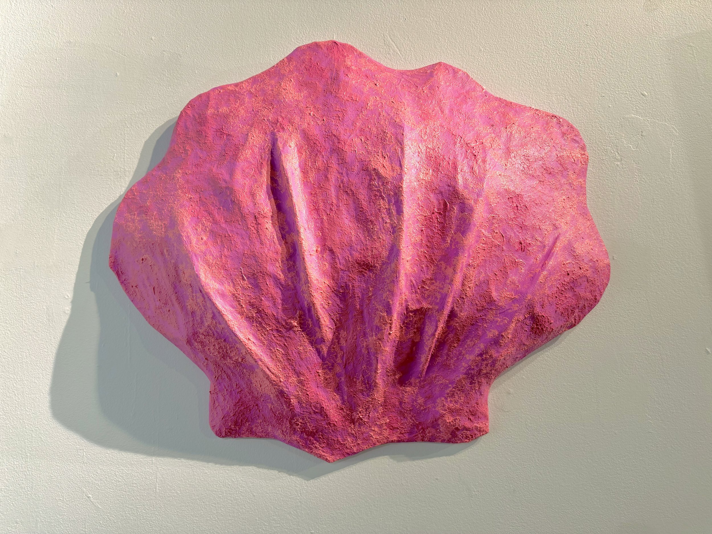 Pink Seashell, Beachcombing