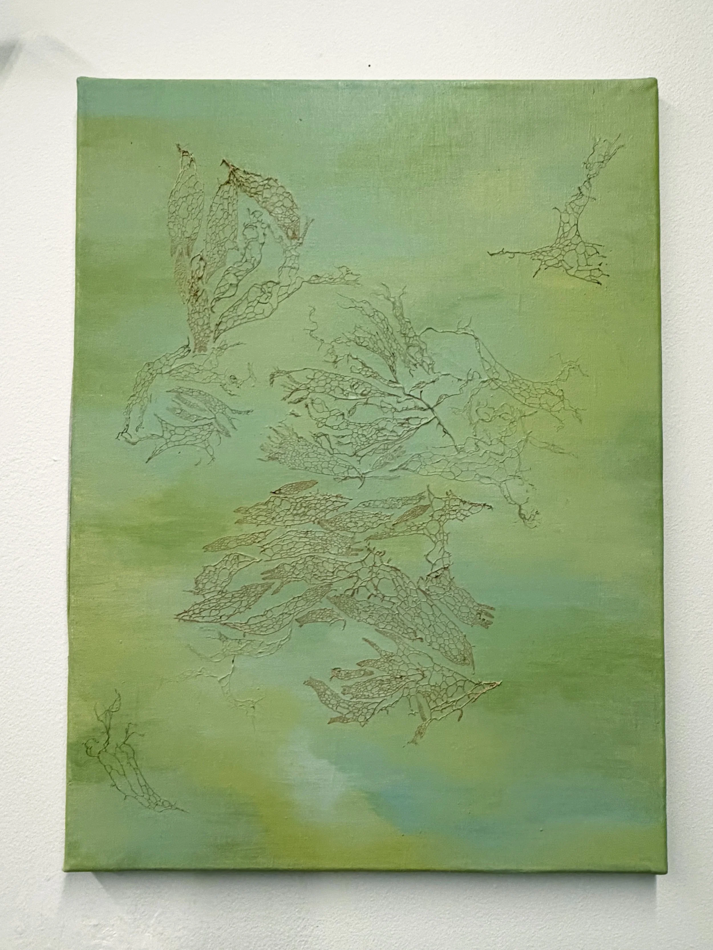 Lichen Dream