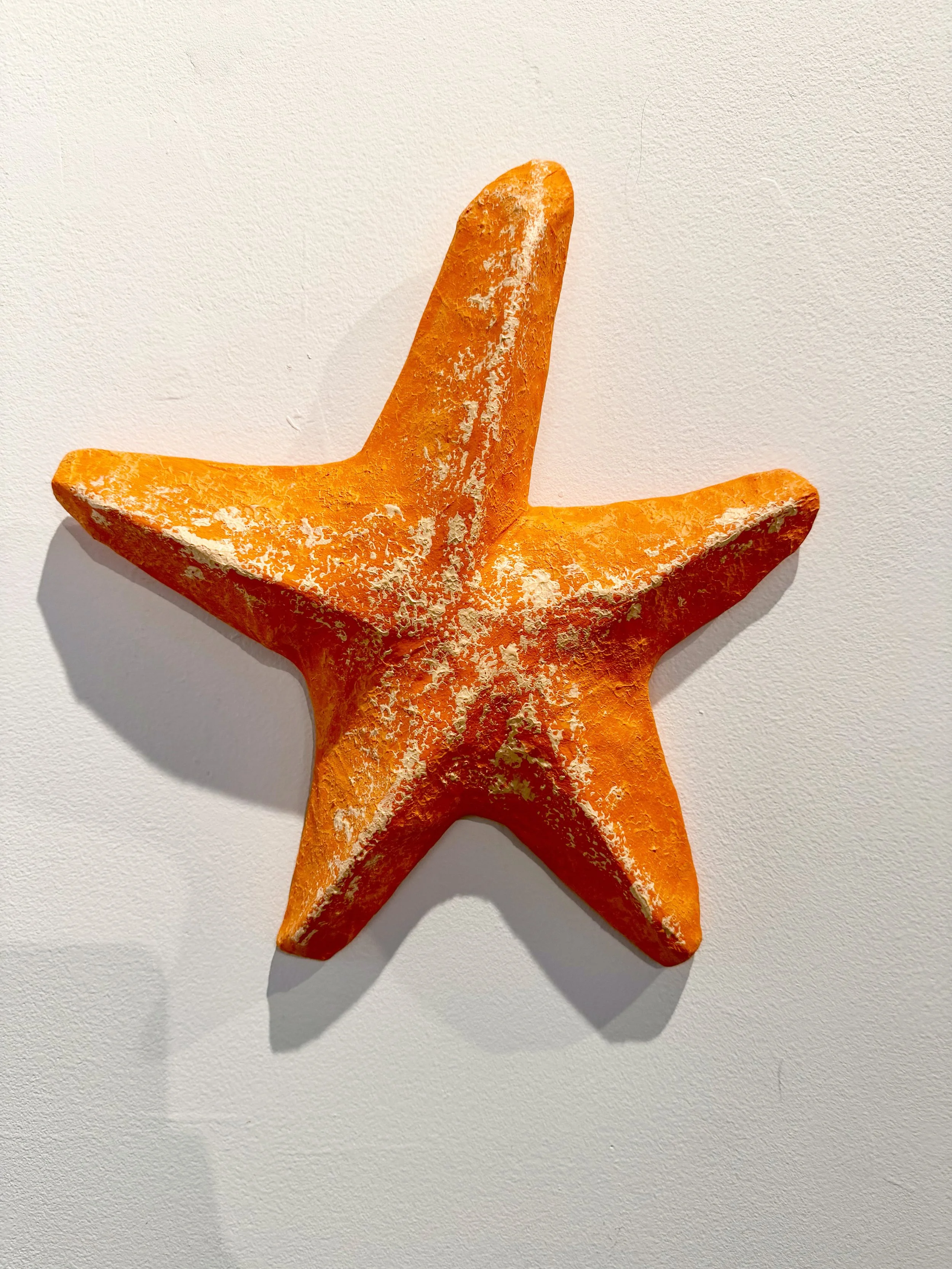 Orange Starfish, Beachcombing
