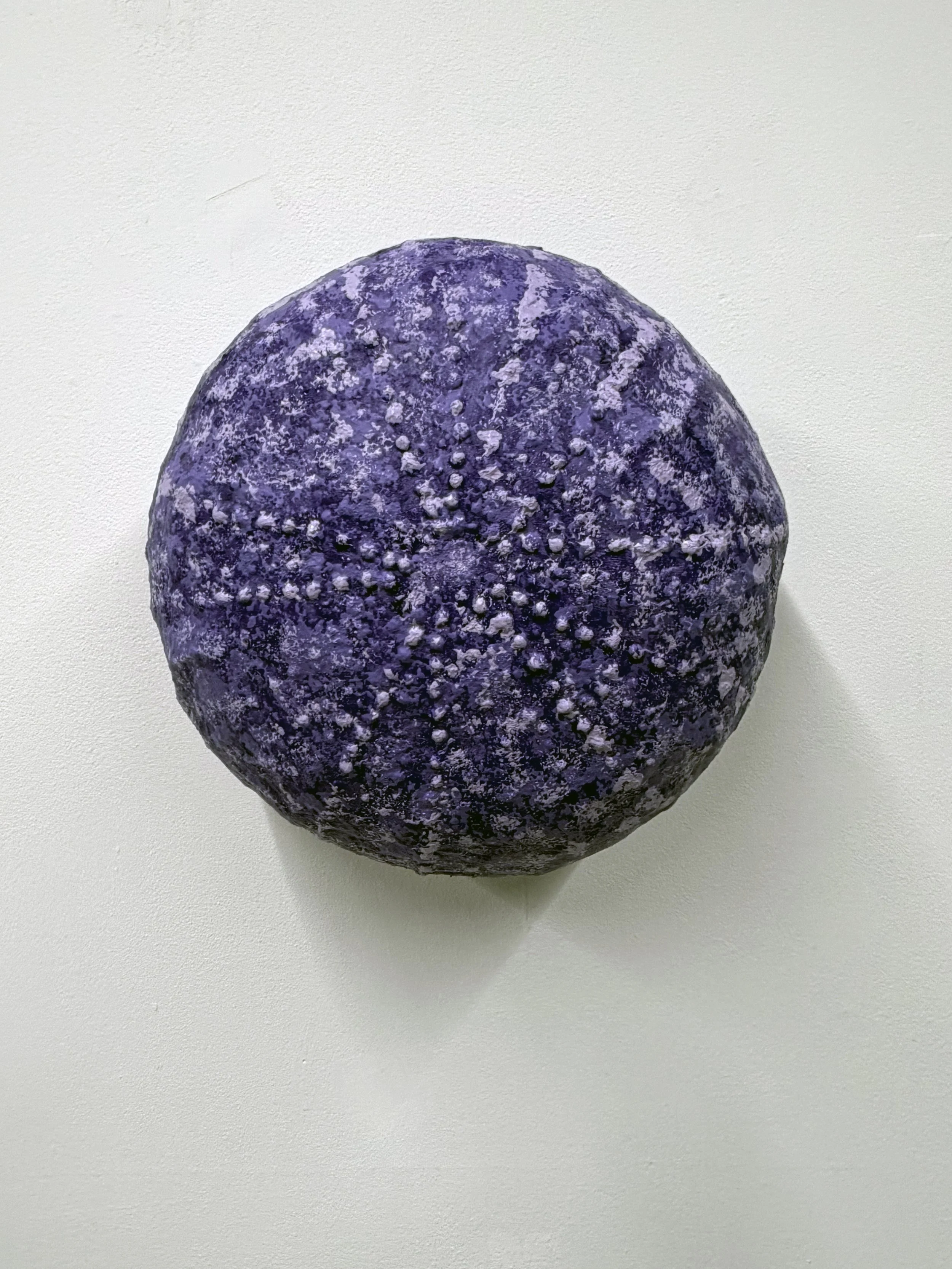 Sea Urchin, Beachcombing