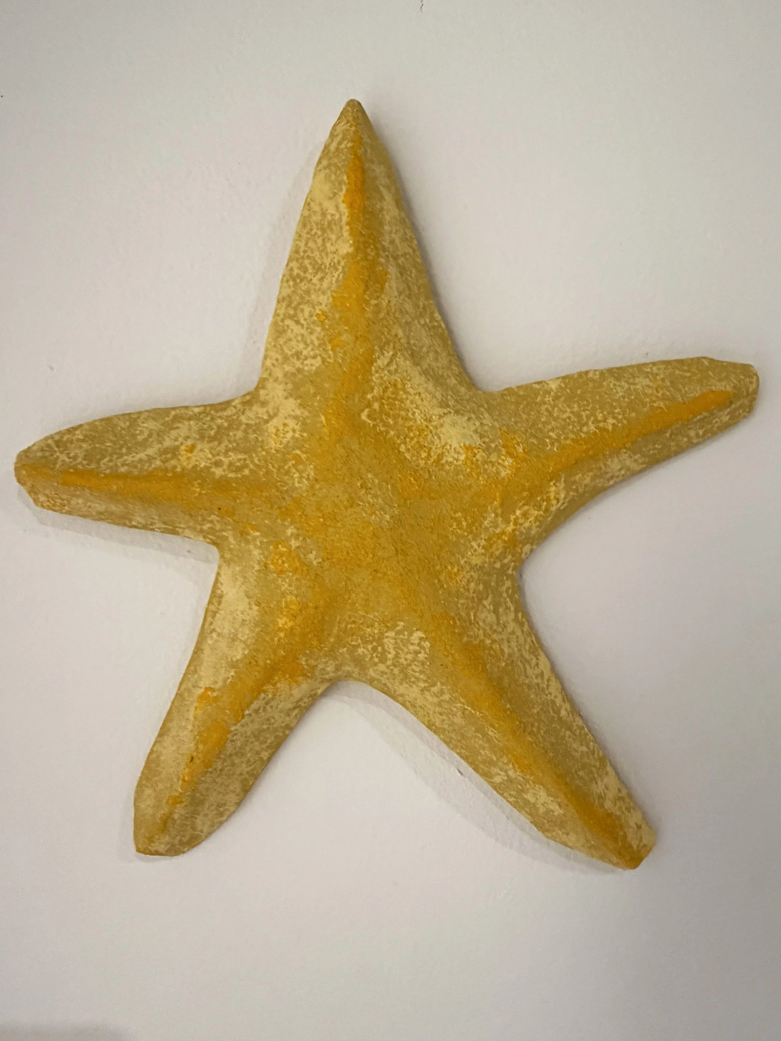 Yellow Starfish, Beachcombing