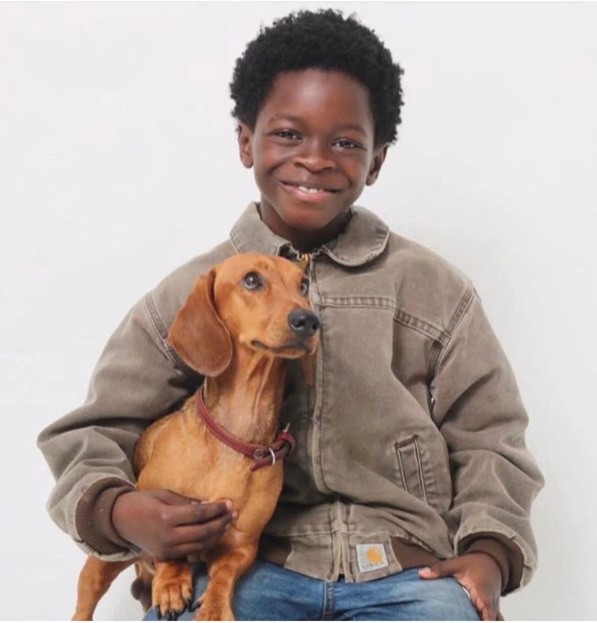 A young boy with dark, curly hair smiling and holding a brown dachshund puppy with floppy ears, against a plain white background.
