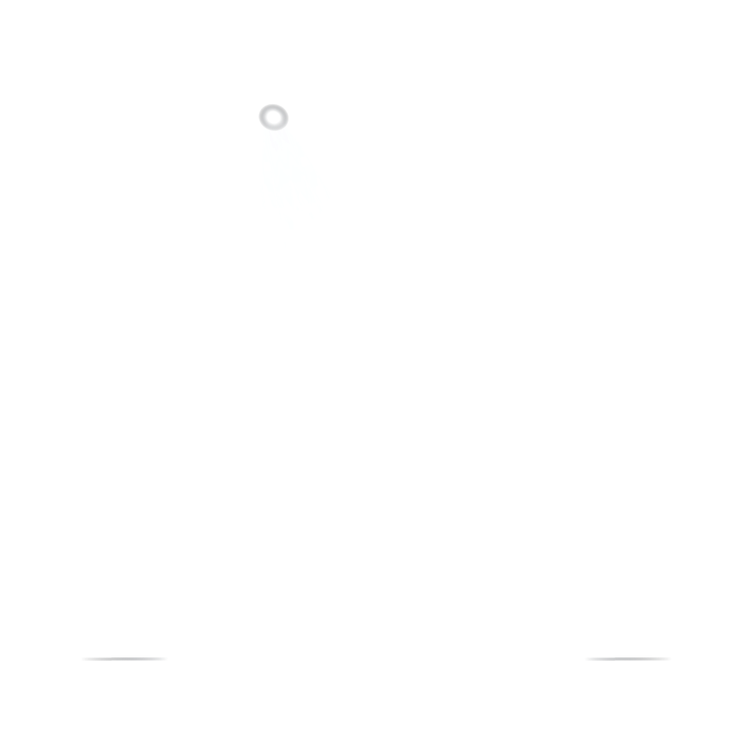 Near Light productions