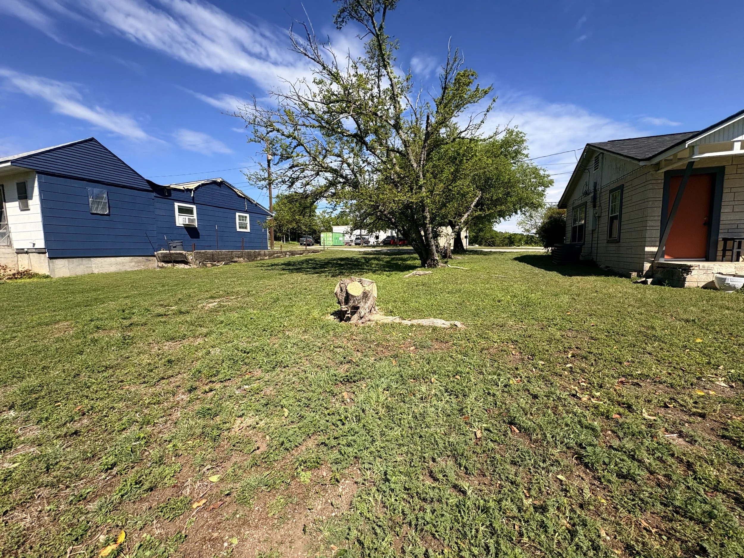 A grassy yard with two houses on either side. A large tree in the center with a stump in the foreground. Clear blue sky with some clouds.