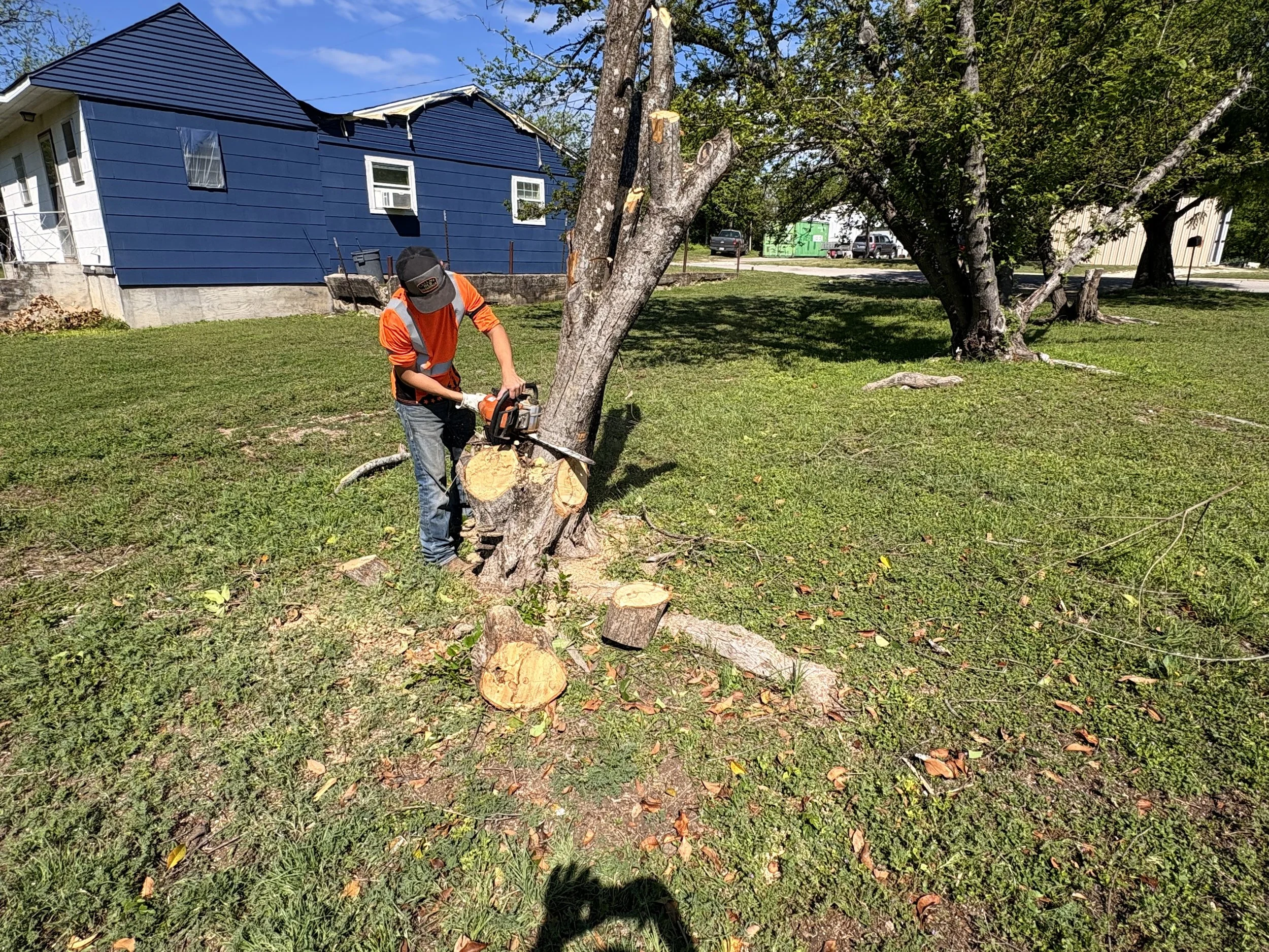 Advanced Service (Tree trimming)