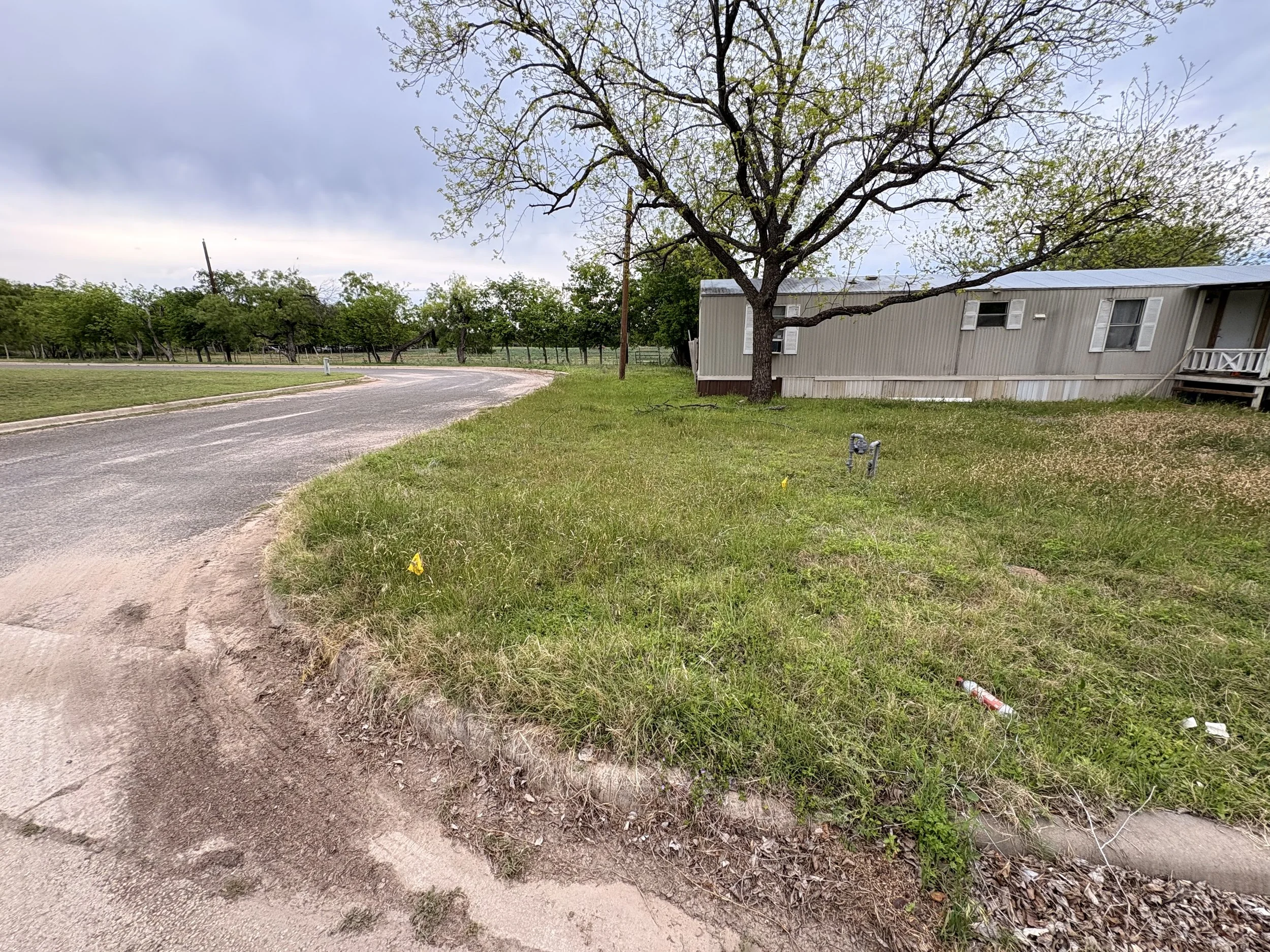 A mobile home situated on a grassy lot with a large tree nearby, along a curved asphalt road on an overcast day.