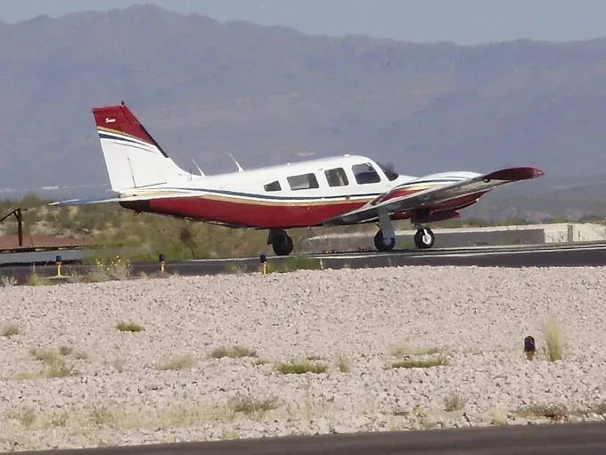 Piper 1.webp