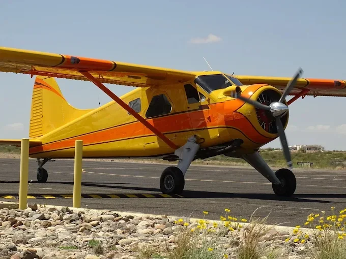 DeHavilland Beaver.webp