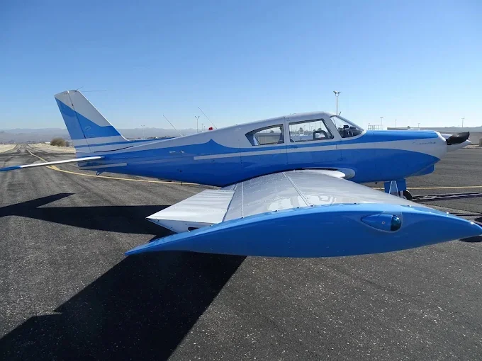 Piper 2.webp
