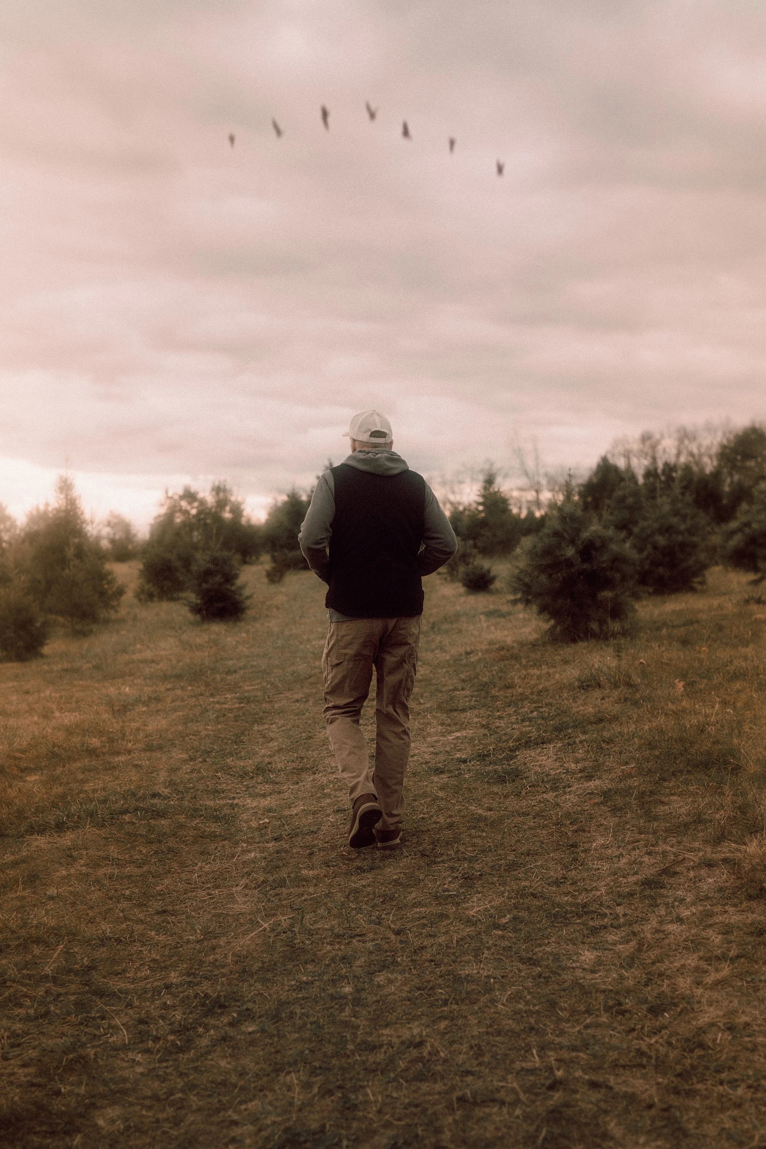 A man walking on a dirt path through a field with small trees, under a cloudy sky with birds flying overhead.