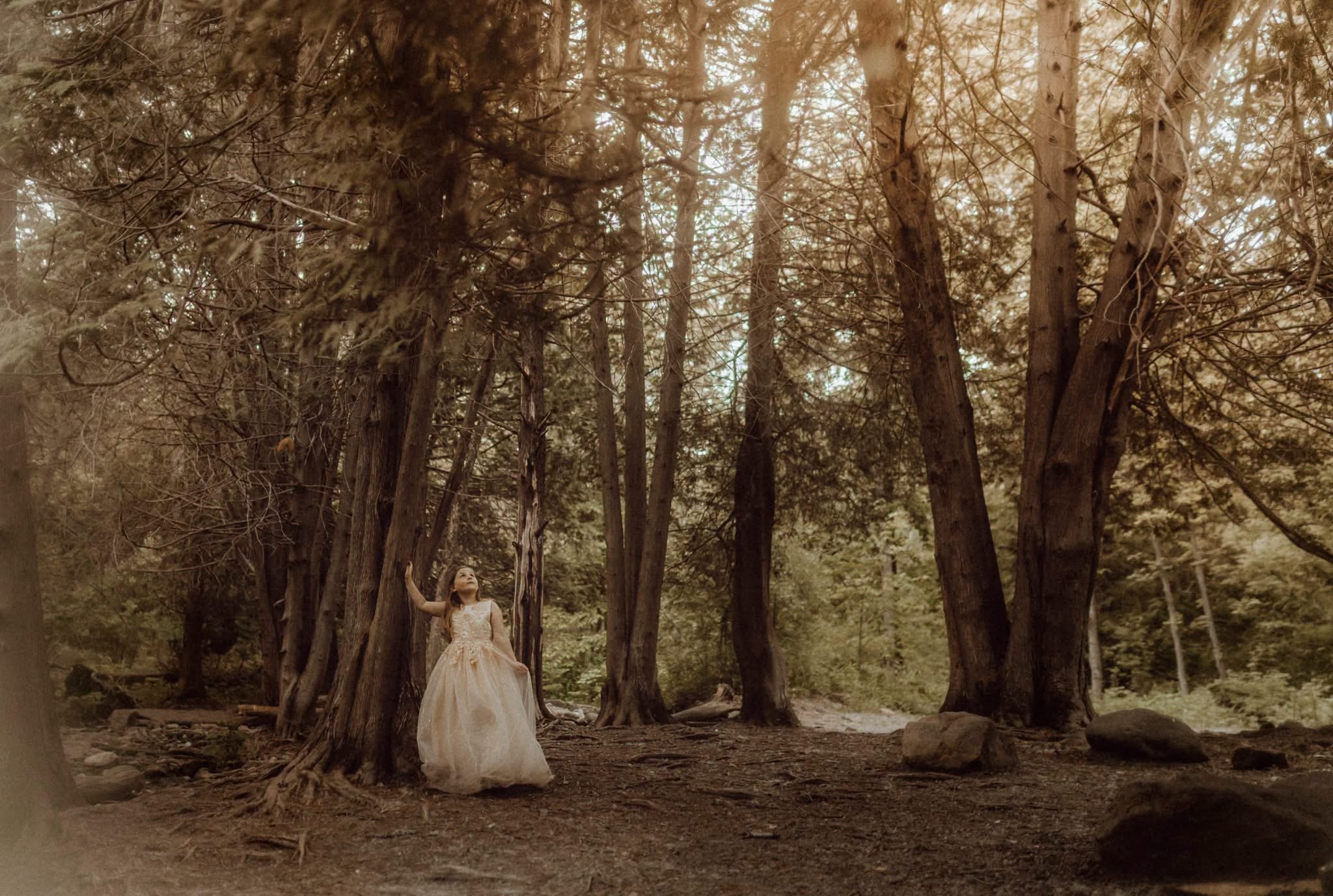 "Fairy Magic" By: Hocus Focus Photography By: Cody Young Of Berkeley Springs, WV
