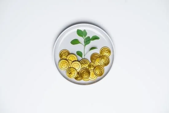 How to Turn $1M+ Into a Reliable Retirement Paycheque in Ontario