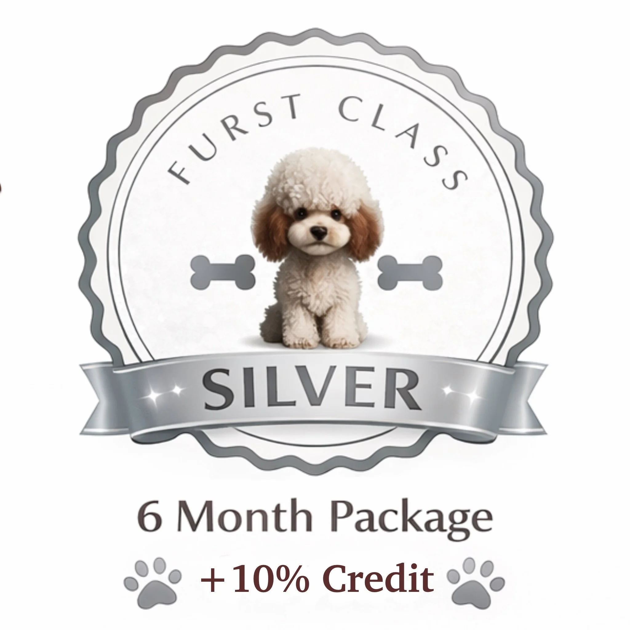 6-Month Priority Class