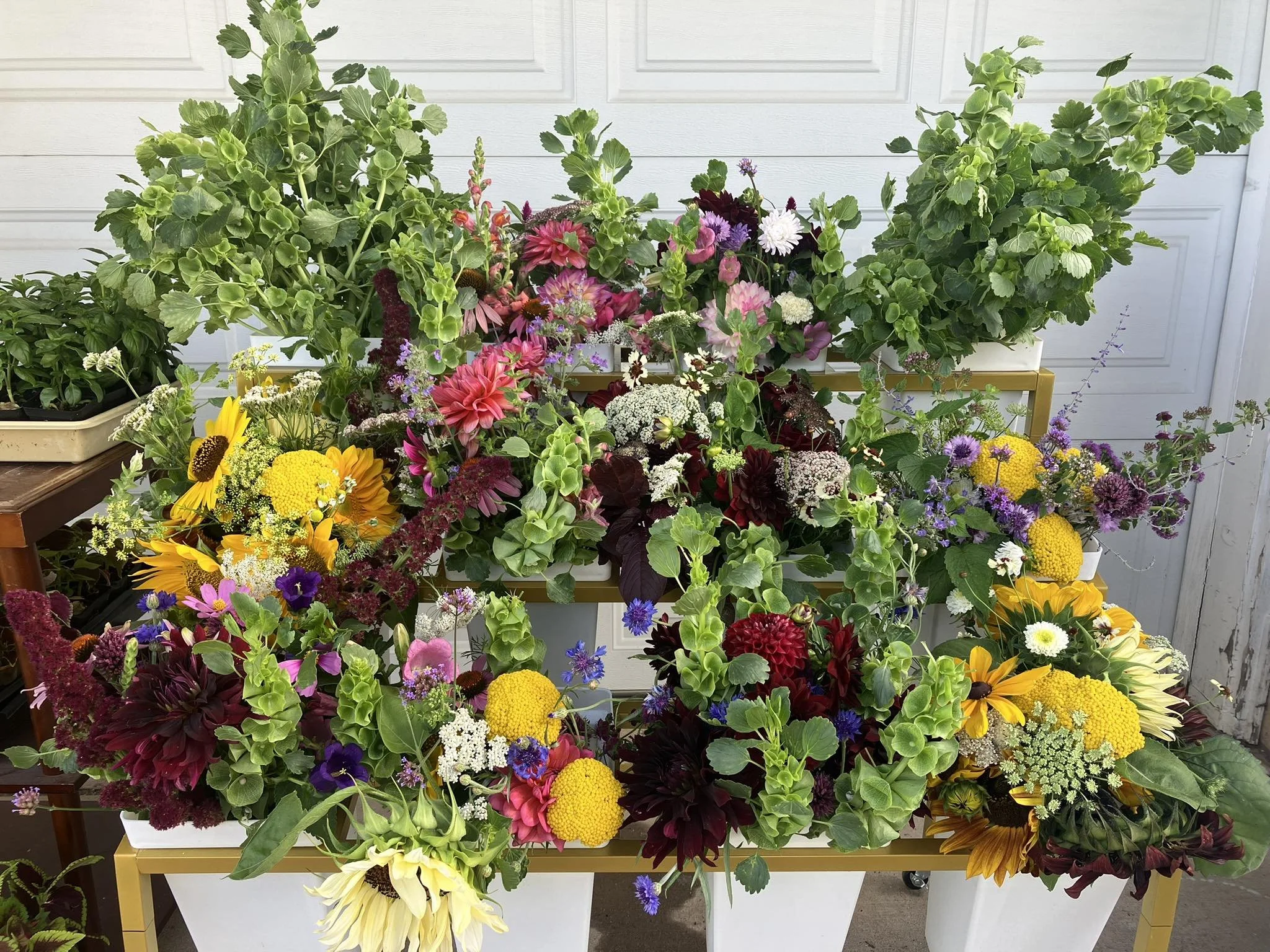 dozen bouquets.jpg