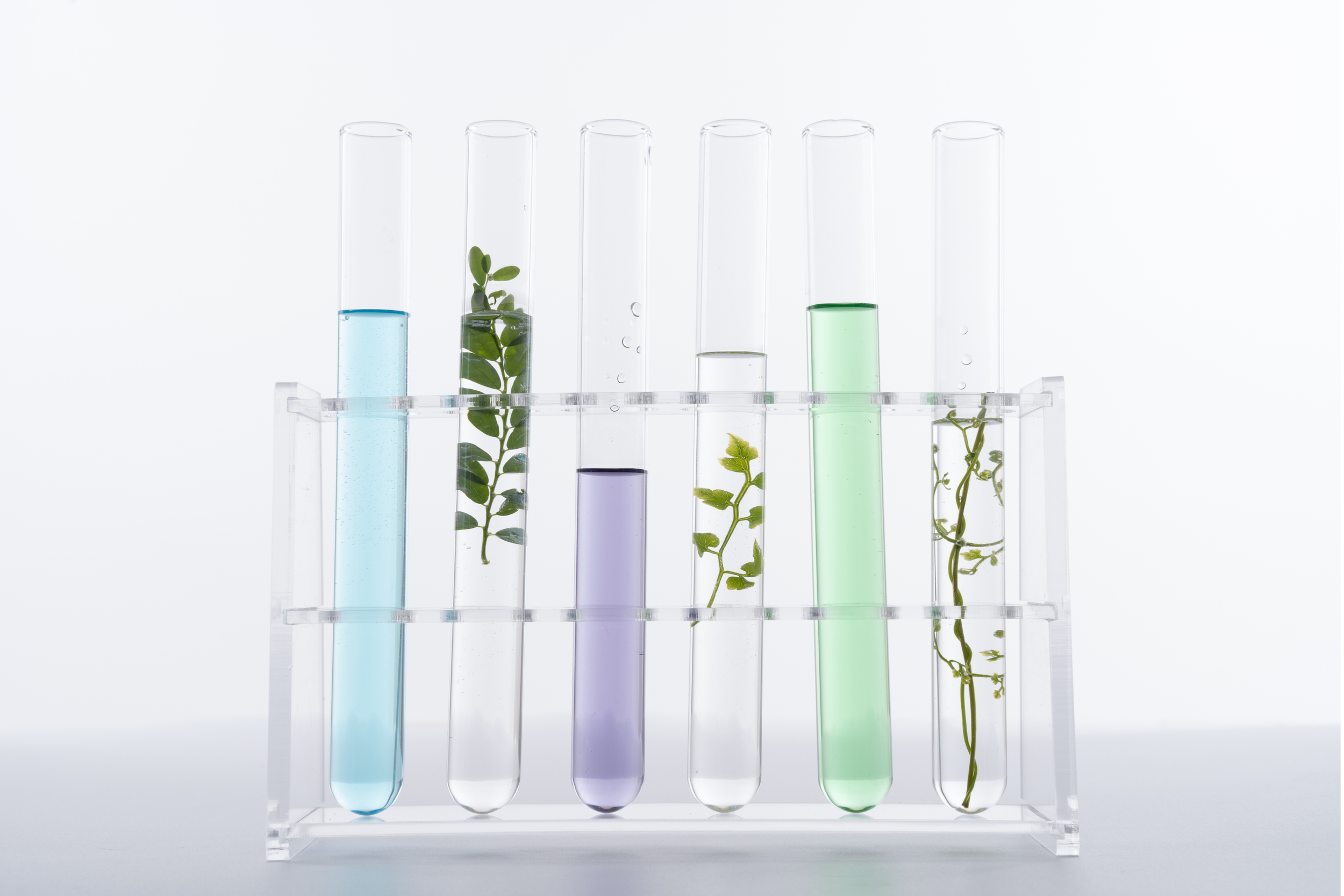 Laboratory test tubes containing colorful liquids and small aquatic plants.